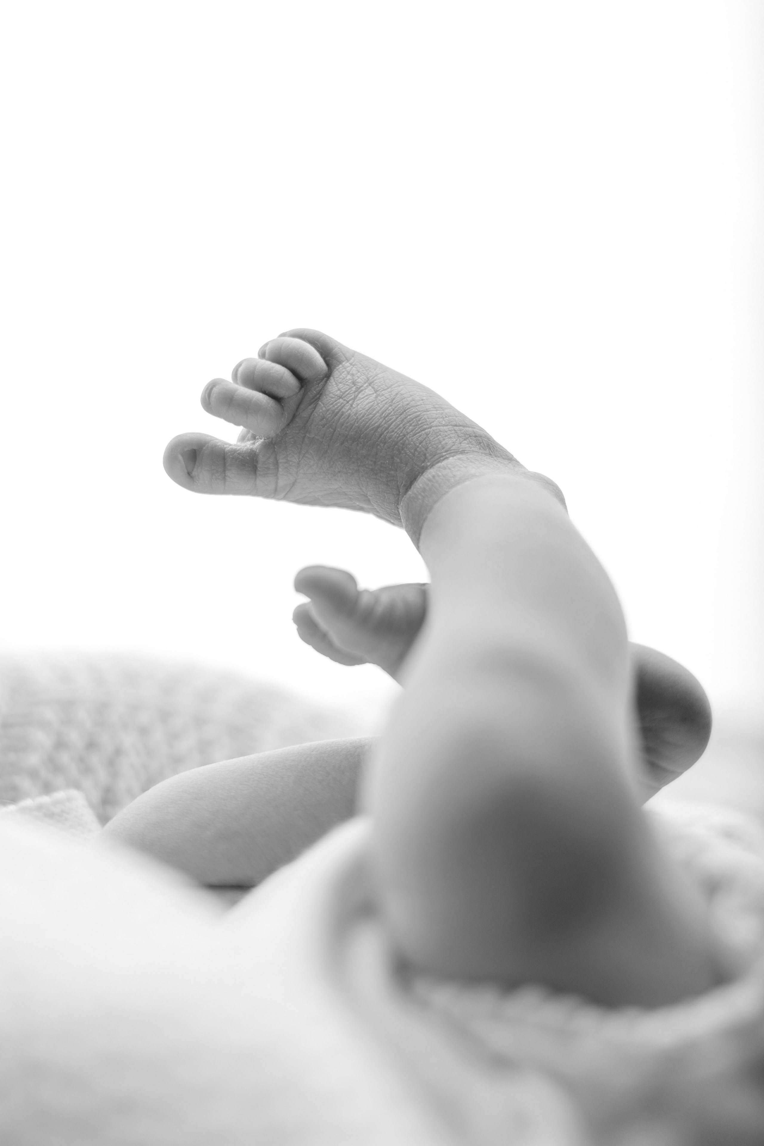 Дарья. Лилия Алтухова — фотограф новорожденных в Москве и области