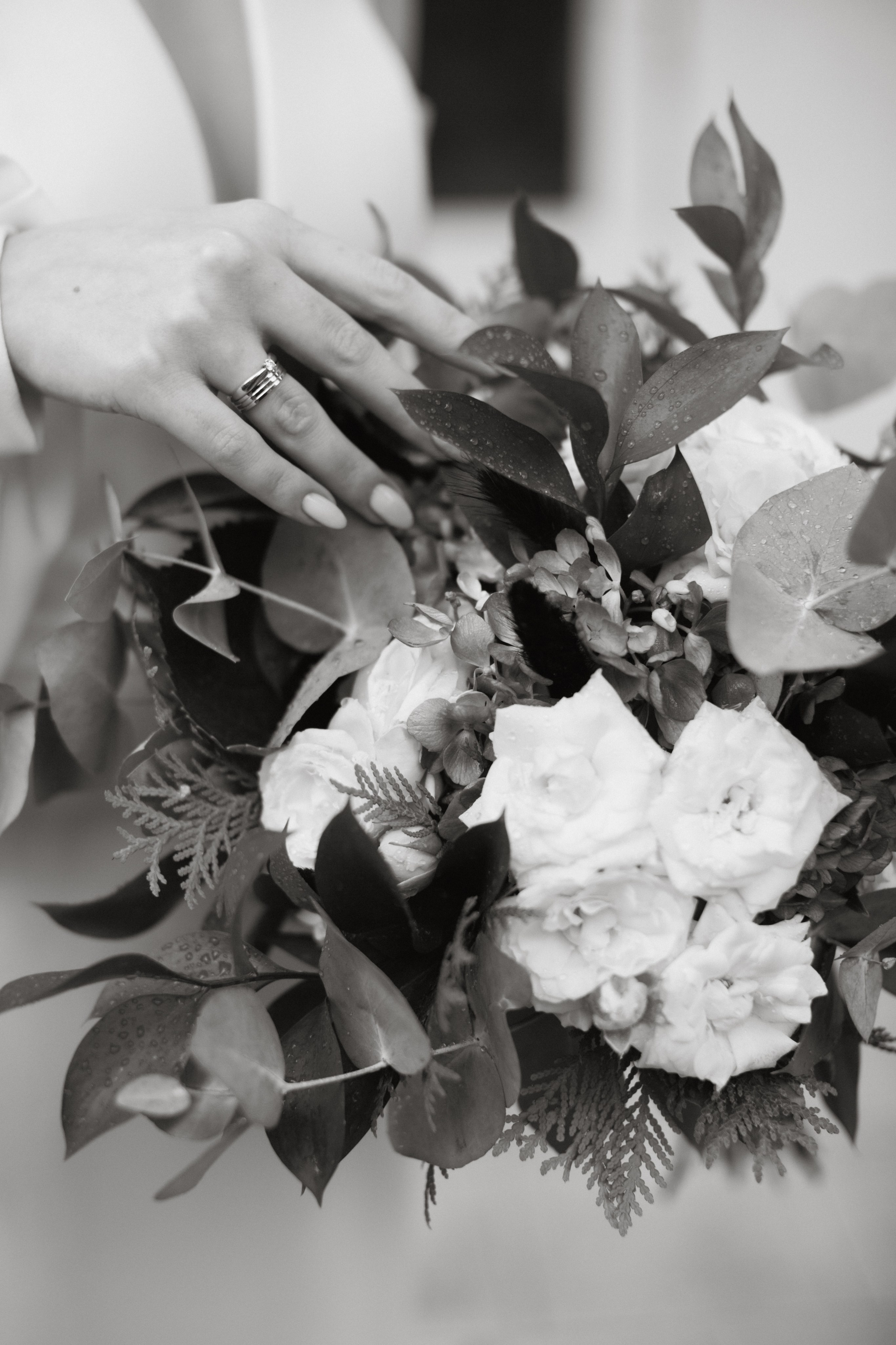 23/07/23. Фотограф НатаФото (Наталья Яковенко) Дмитров Москва Питер