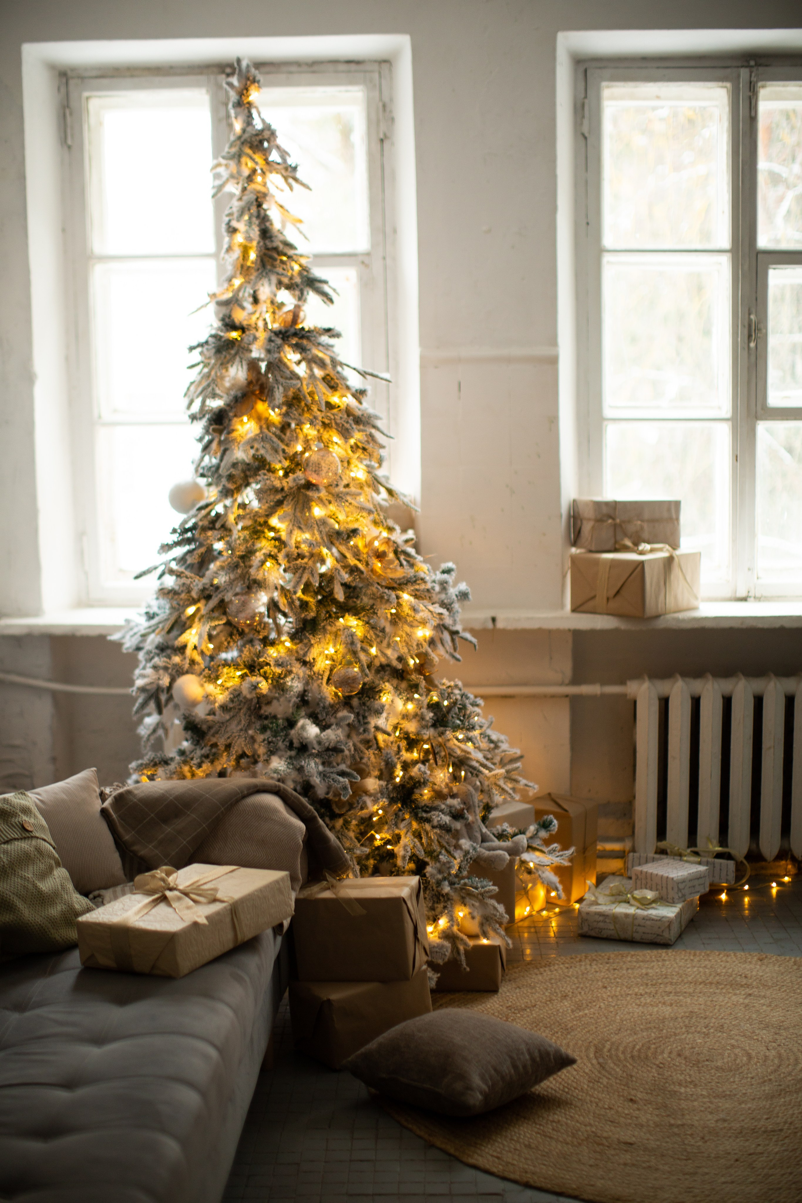 Нг24. Фотограф НатаФото (Наталья Яковенко) Дмитров Москва Питер