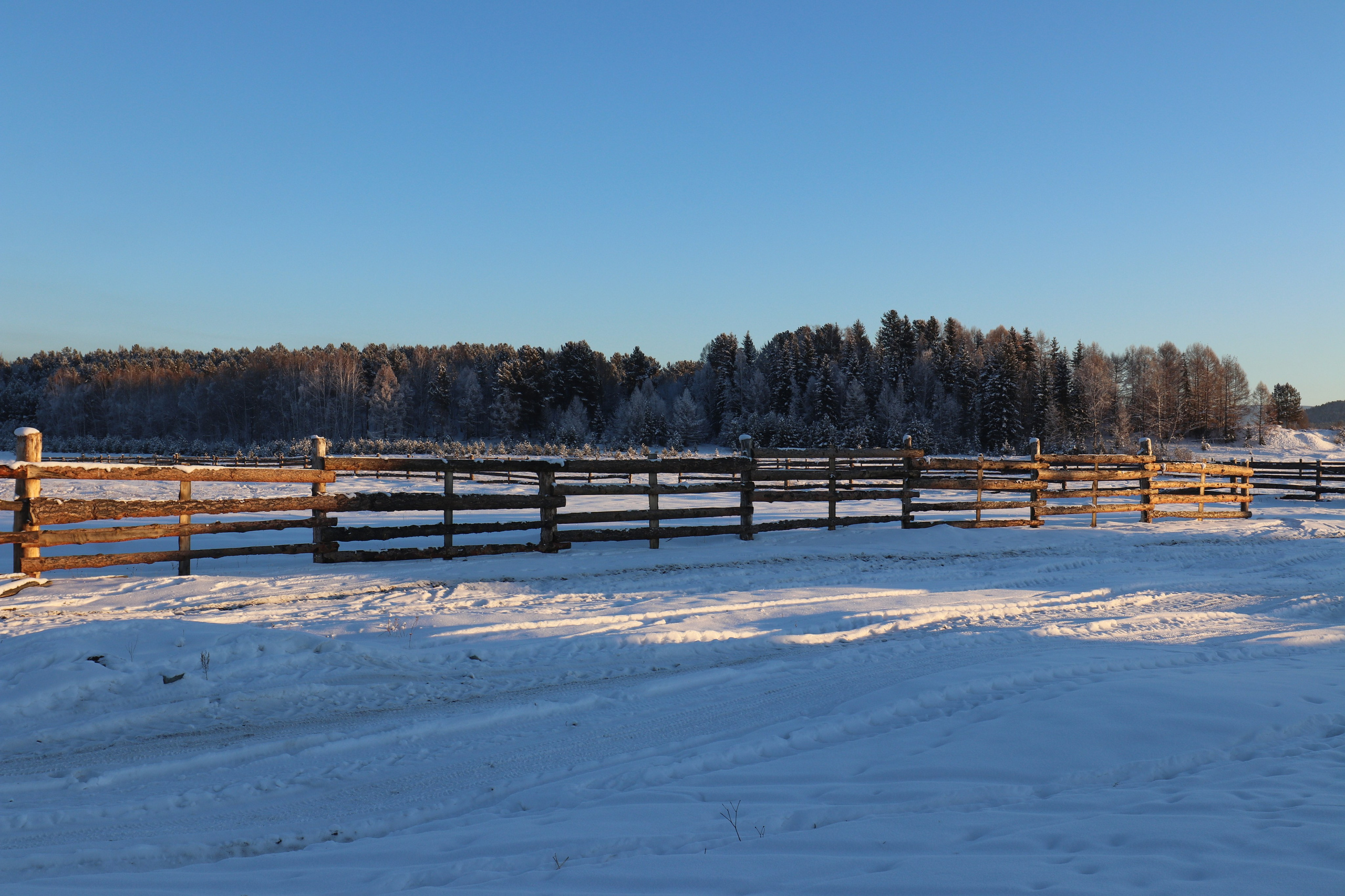 Аршан. Январь 2022. Путешественник-фотограф из Санкт-Петербурга Татьяна Свистулина