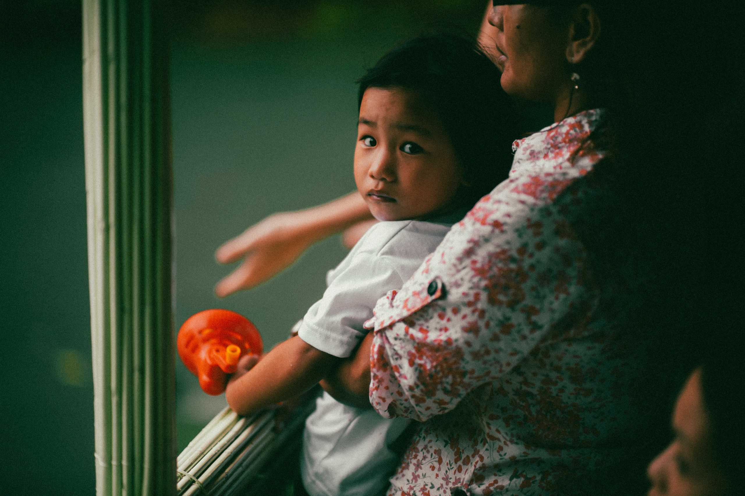 Жизнь. Профессиональный фотограф Кирилл Зайцев