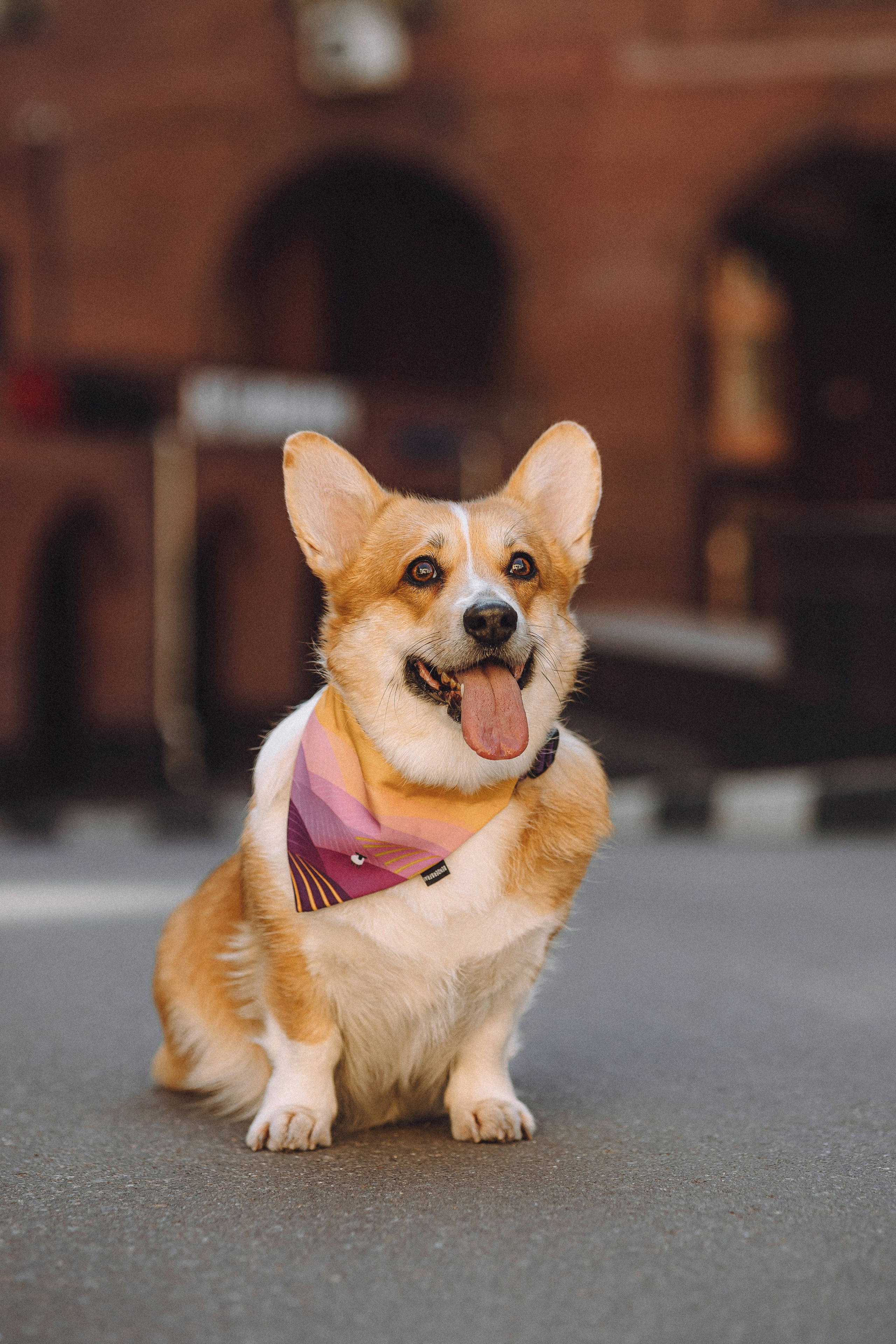 Вика и Мейзи