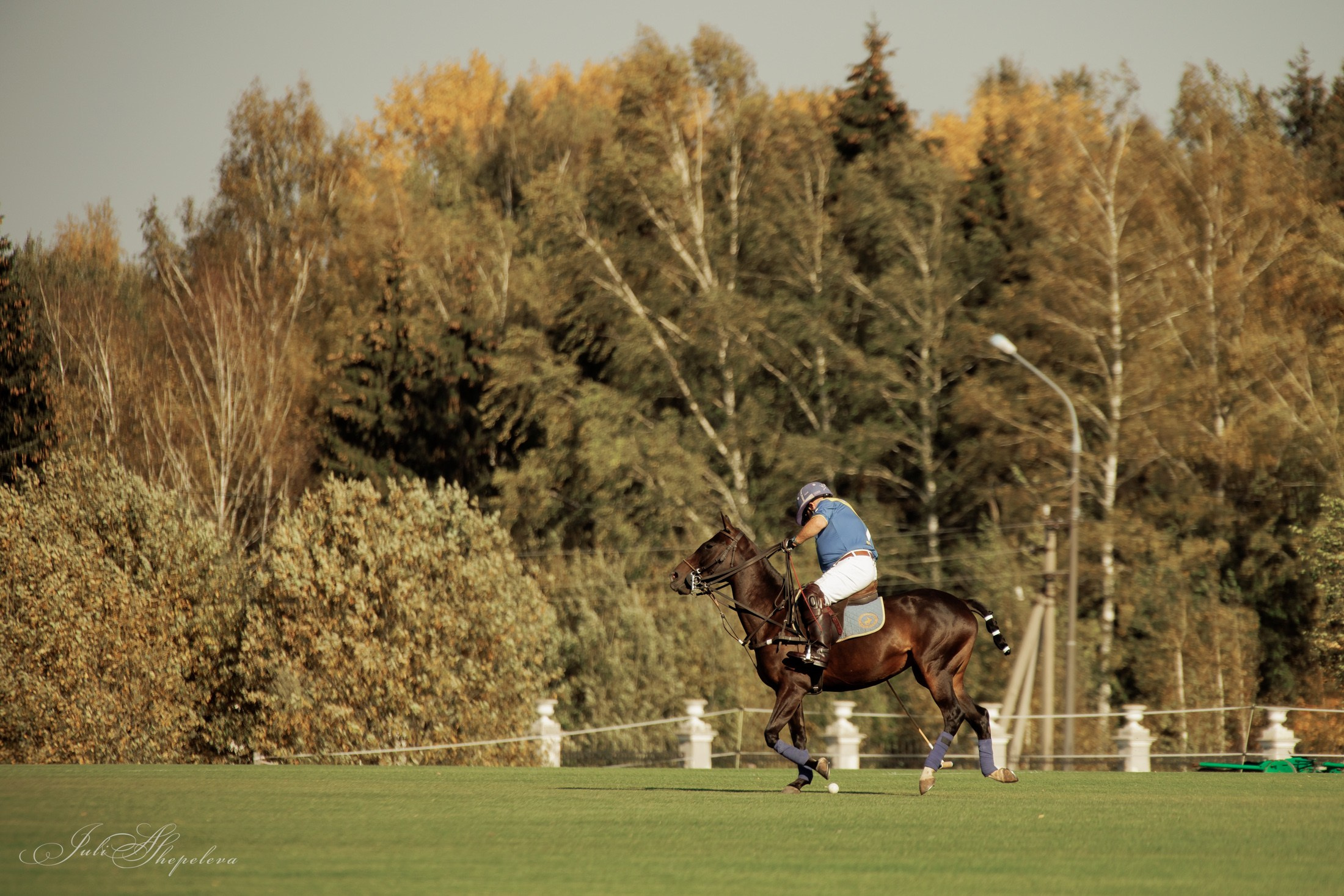 Осенний кубок по конному поло. Детская Конная фотография в Москве Юлия Шепелева