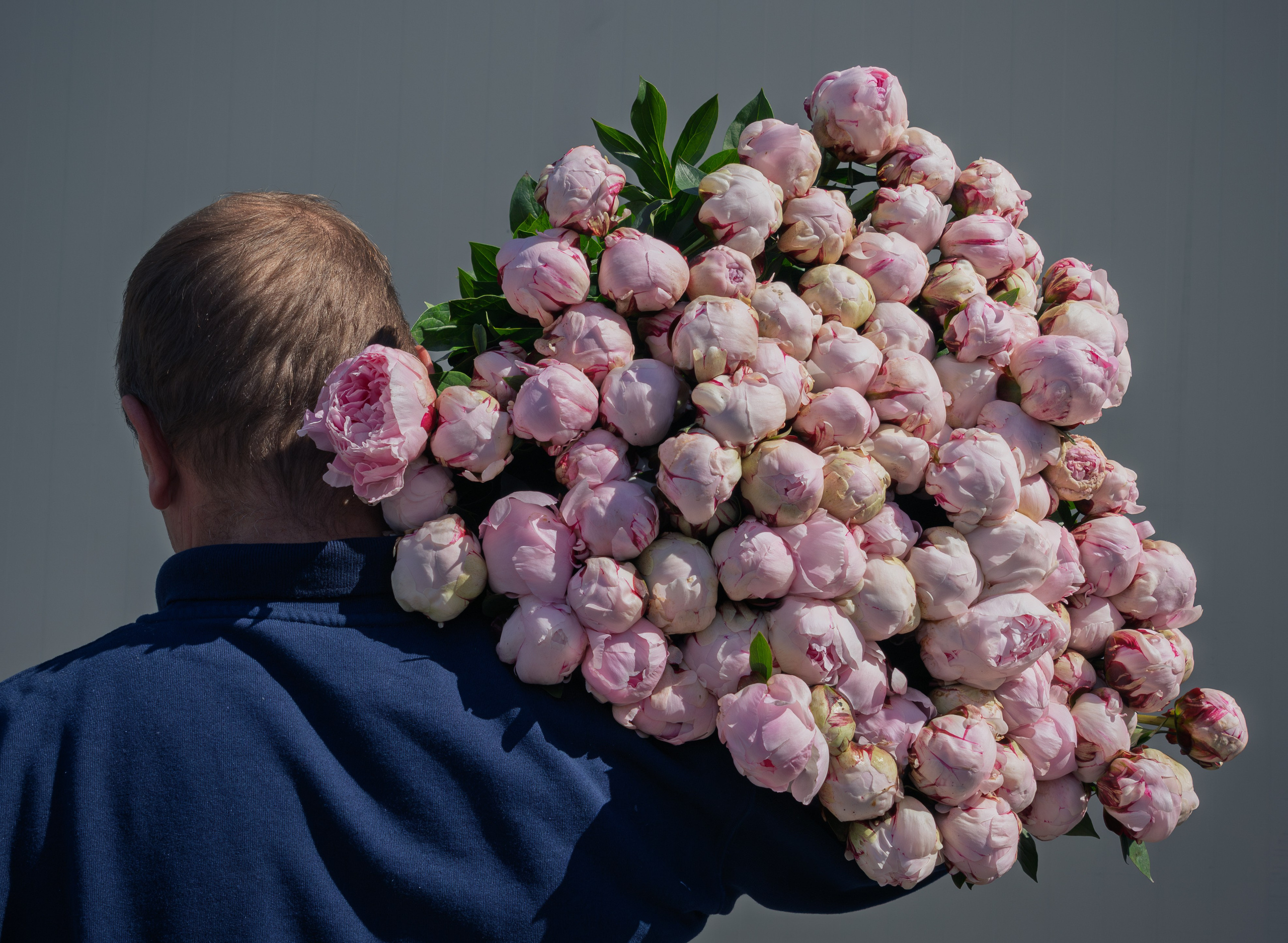 Flower warehouse. Фотограф Дарья Карпенко
