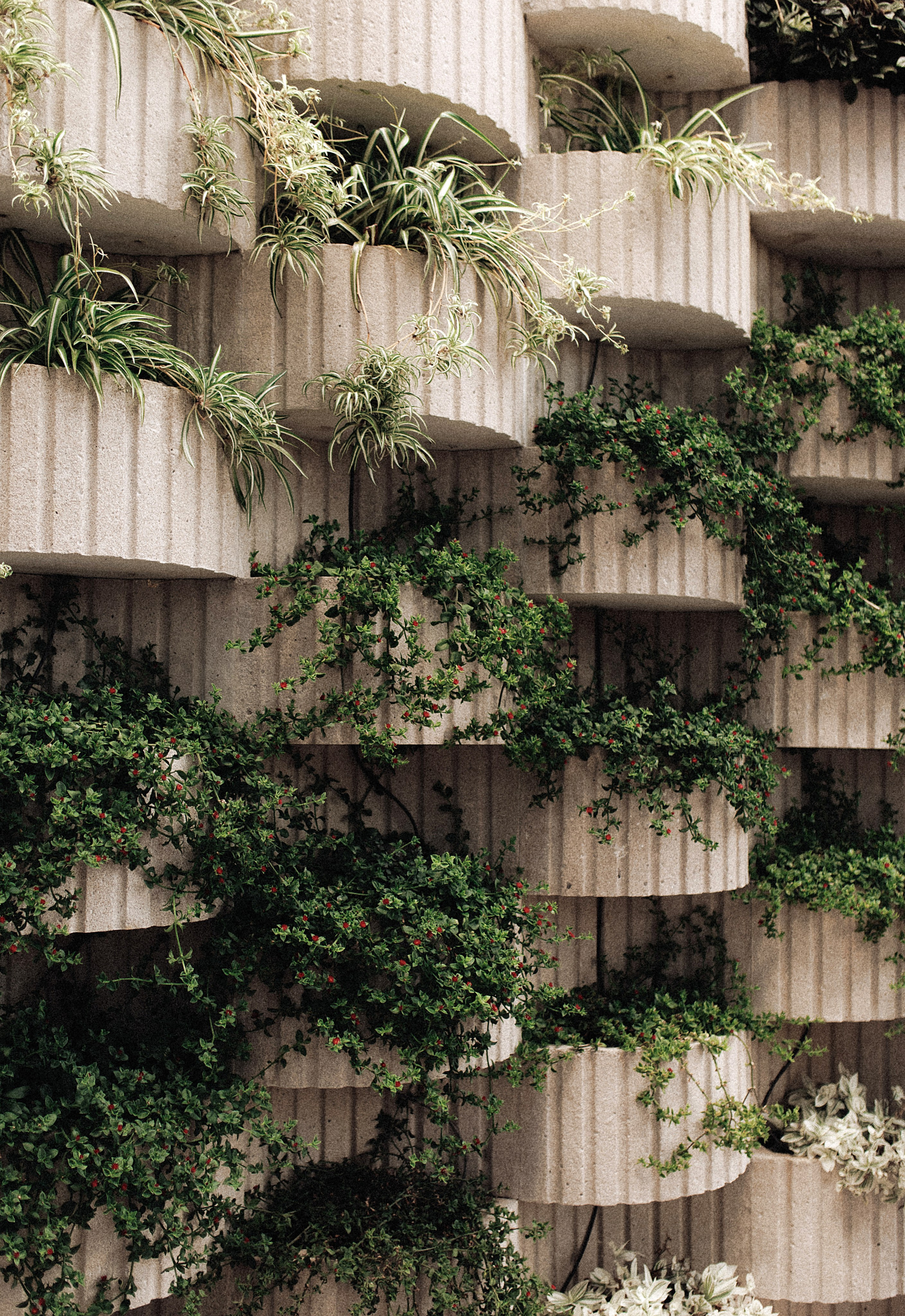 Maria & Dima. Свадебный фотограф в Севастополе и Крыму| Tanya Sher