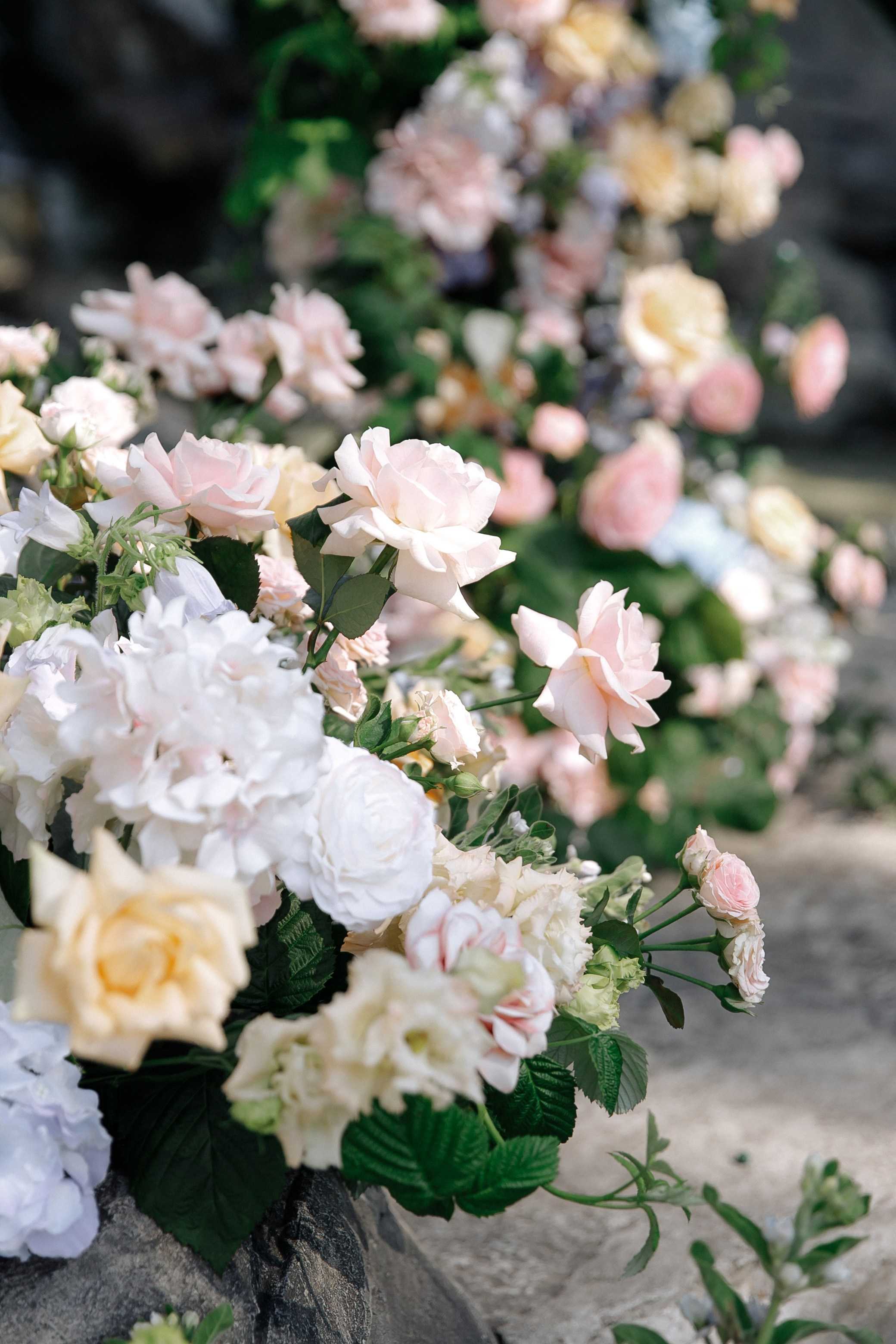 Ivan & Anastasia. Свадебный фотограф в Севастополе и Крыму| Tanya Sher