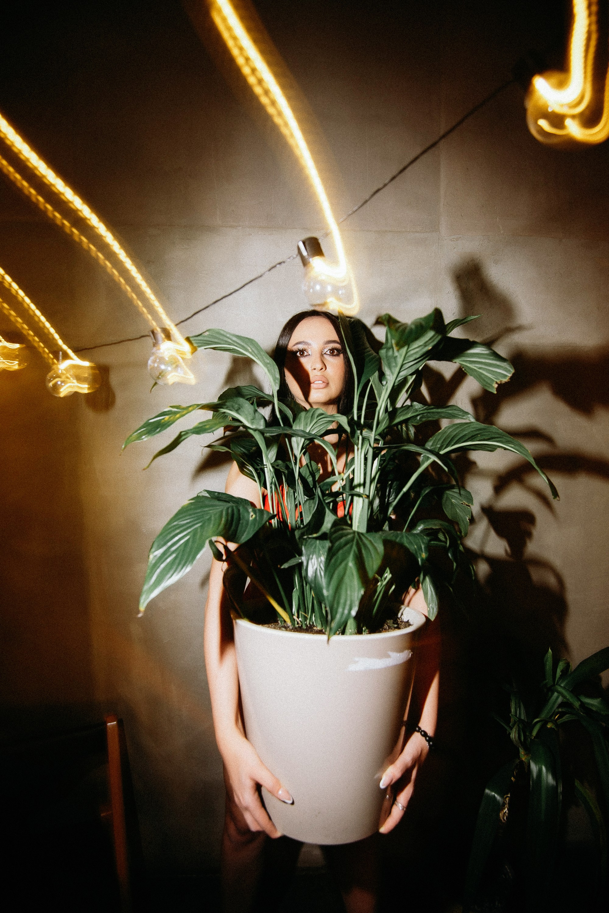 CALLYPSO. Свадебный фотограф в Ставрополе Сергей Шляхов