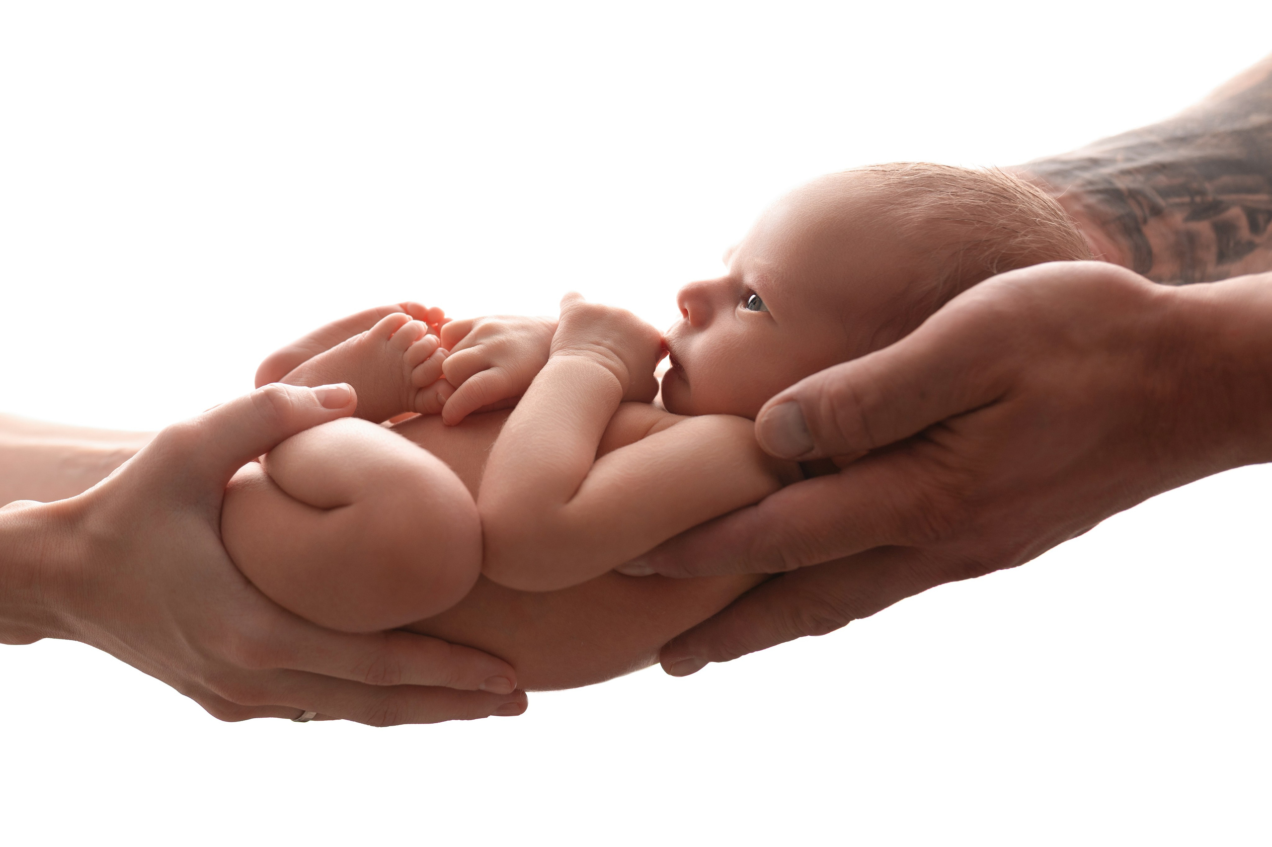 Newborn мальчики. Фотограф новорожденных Модяева Ирина