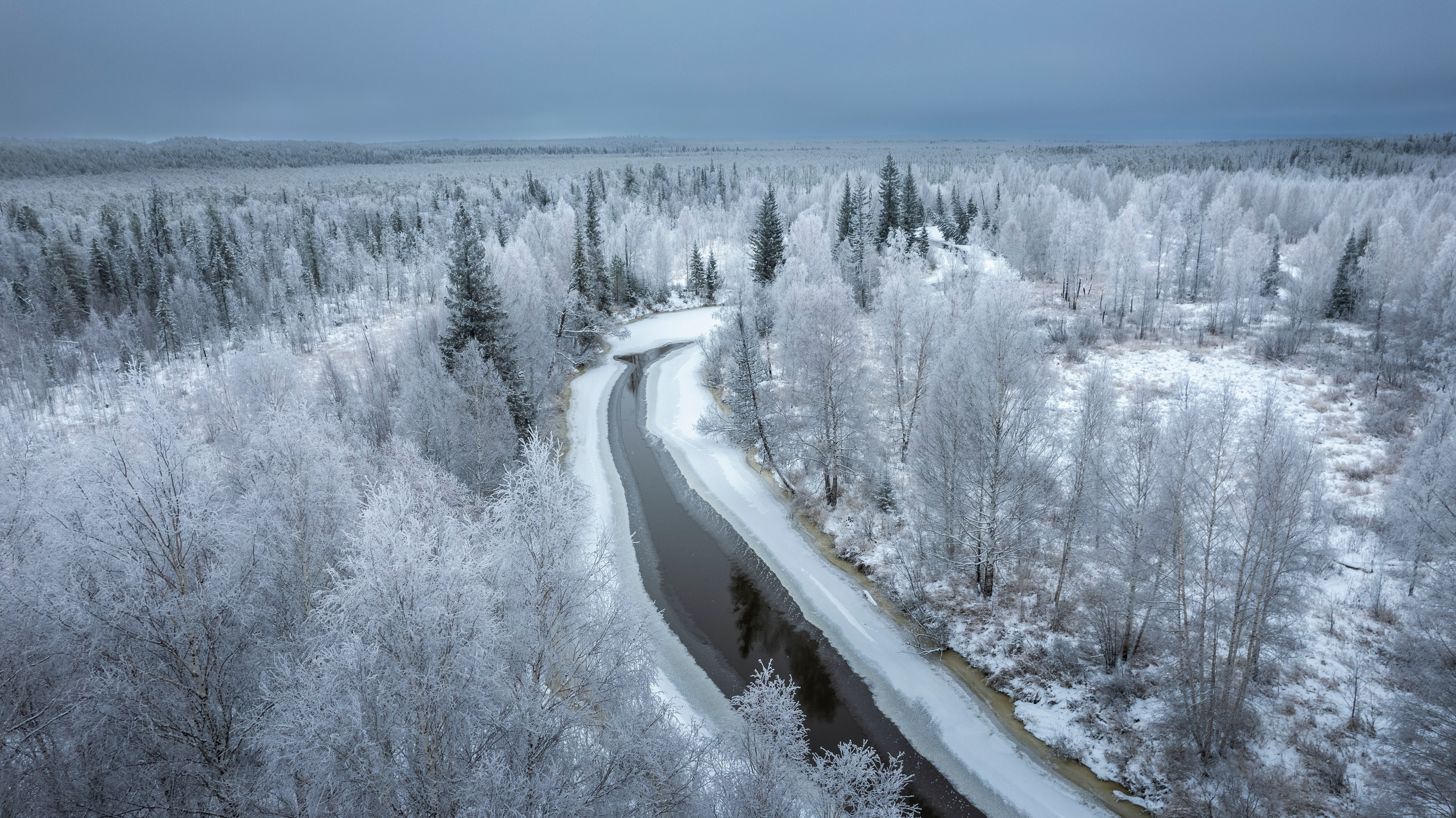ПРИРОДА С ДРОНА. Фотограф Татьяна Борисова
