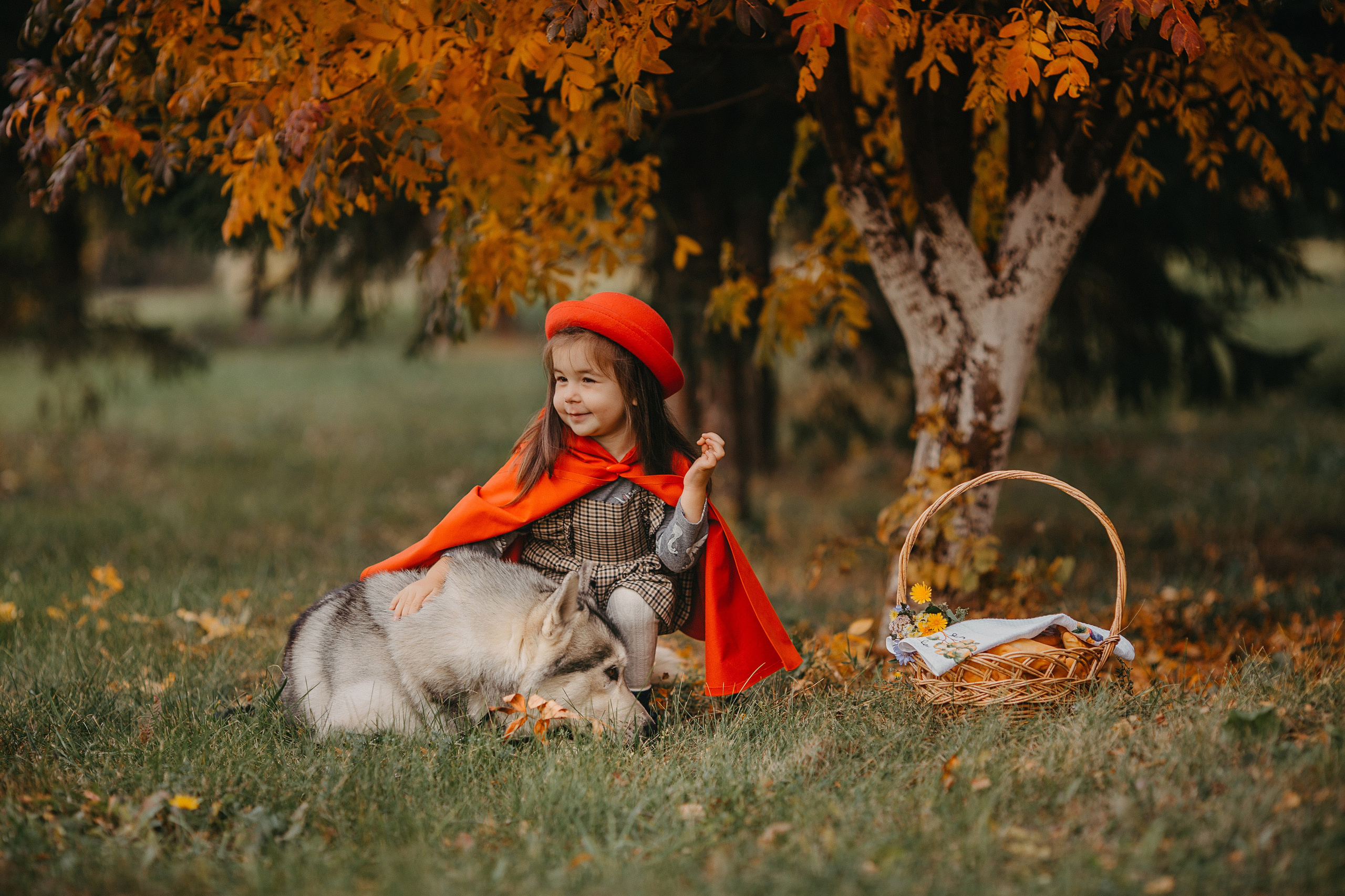 Красная шапочка. Свадебный, семейный и детский фотограф Набережные Челны