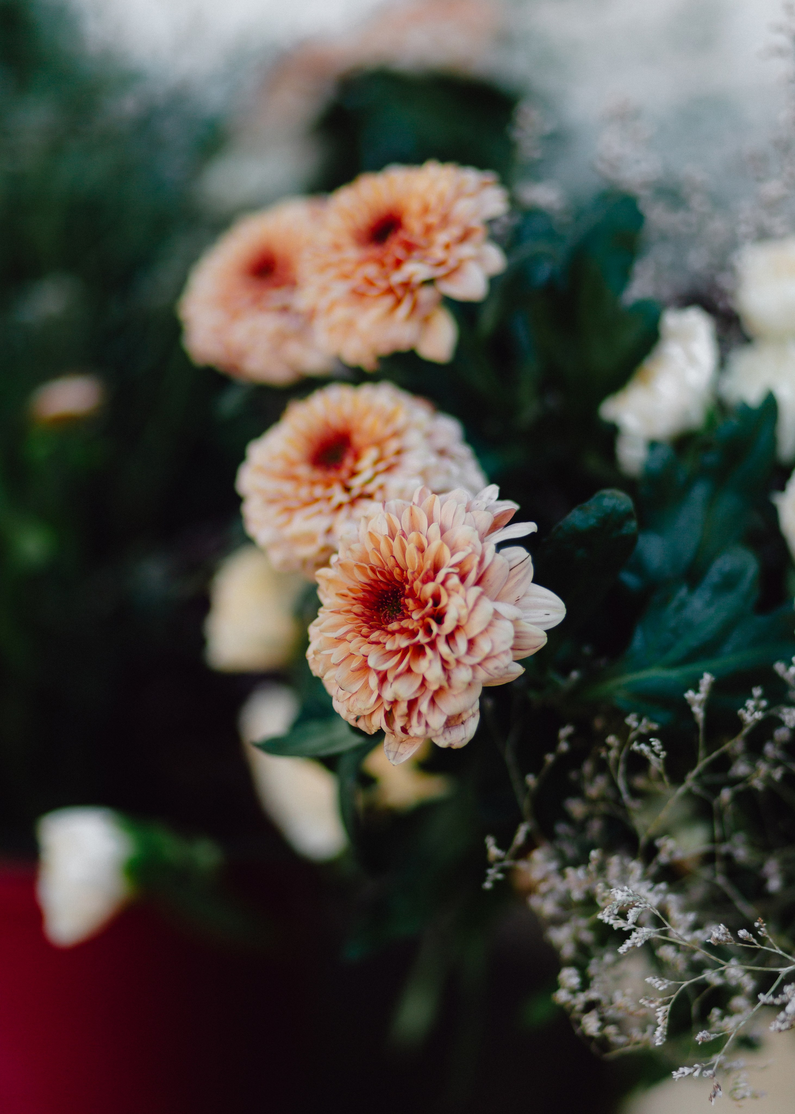 Flower Workshop. Barbara Isaeva