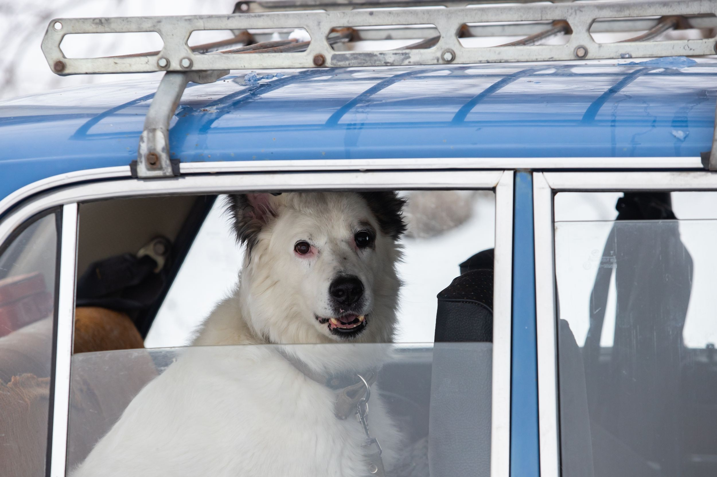 Ралли-спринт (11 марта 2023). Репортажный фотограф Алексей Пирязев