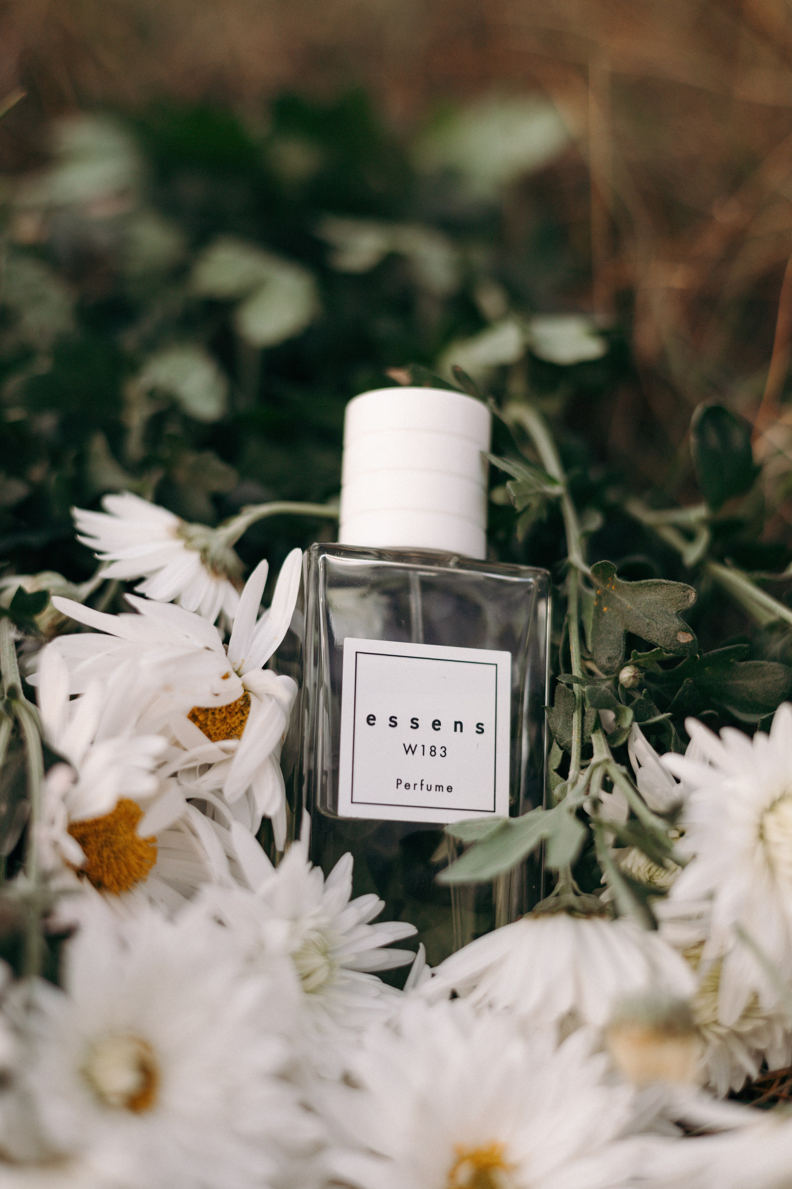 Кейс аромастилист. Ваш фотограф