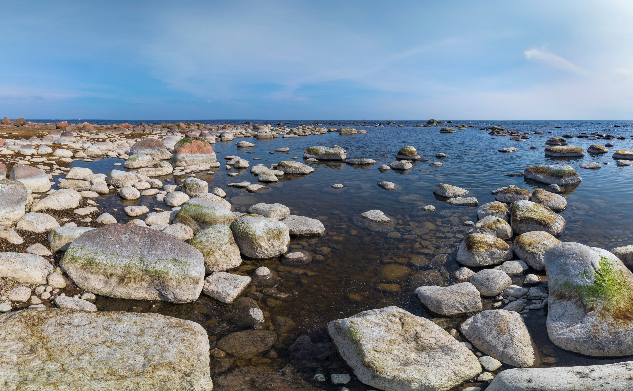 На досуге. Фотограф в Вязьме