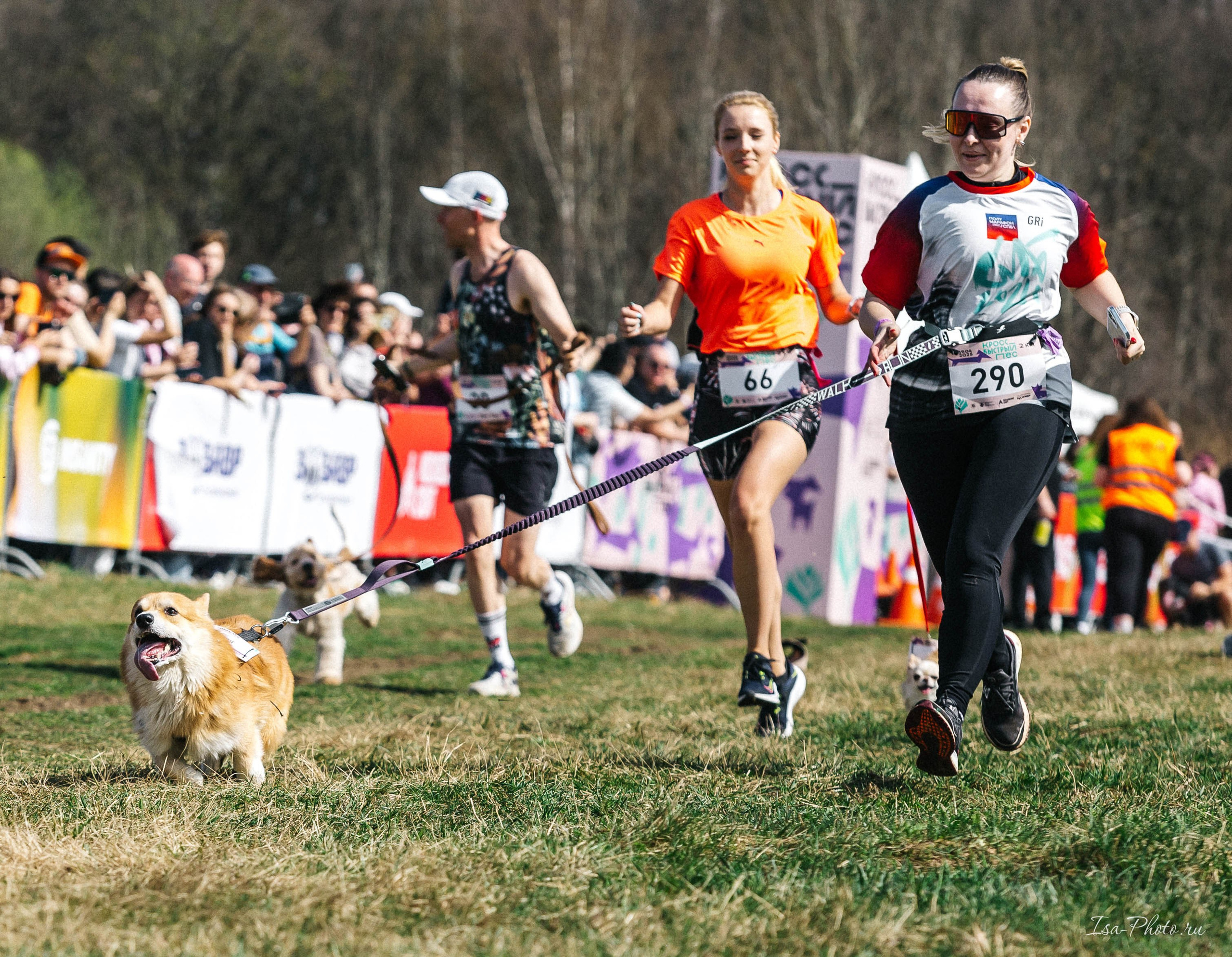 Кросс «Быстрый пёс» 2025. Репортажный фотограф в Москве