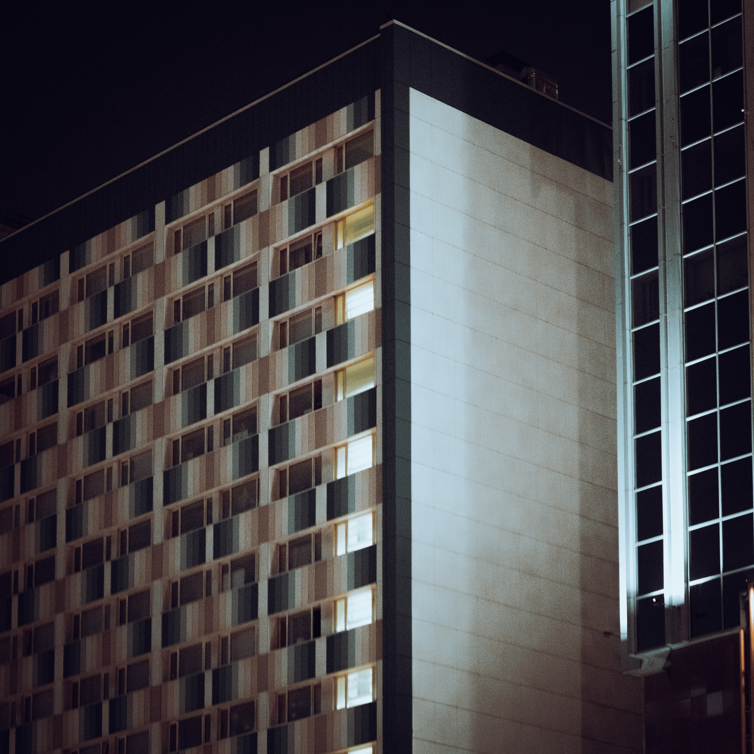 Жанровая фотография. Фотограф и оператор в Москве Елизавета Коргалидзе