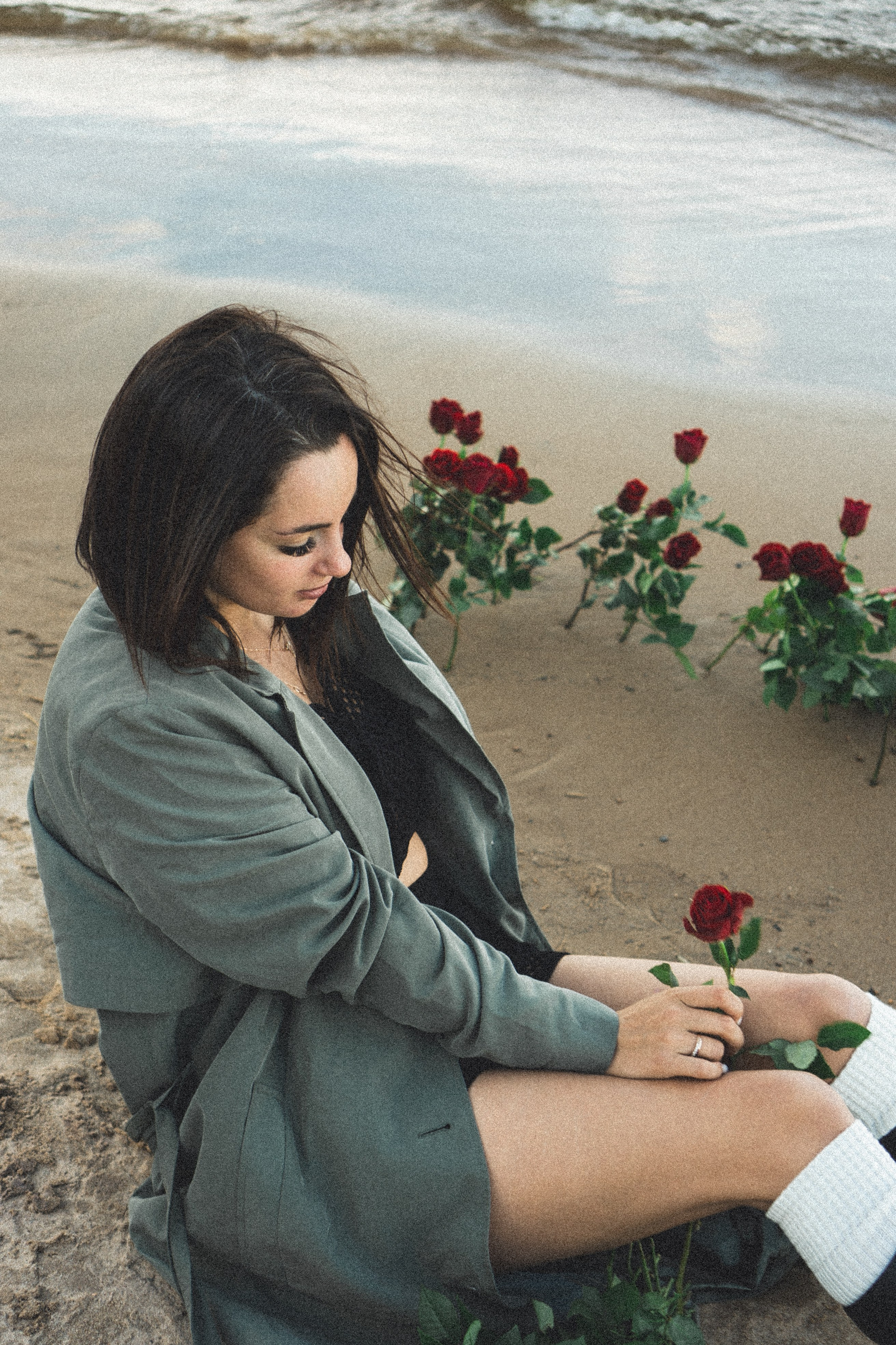 Розы. Профессиональный фотограф, Санкт-Петербург — Виктория Богомолова