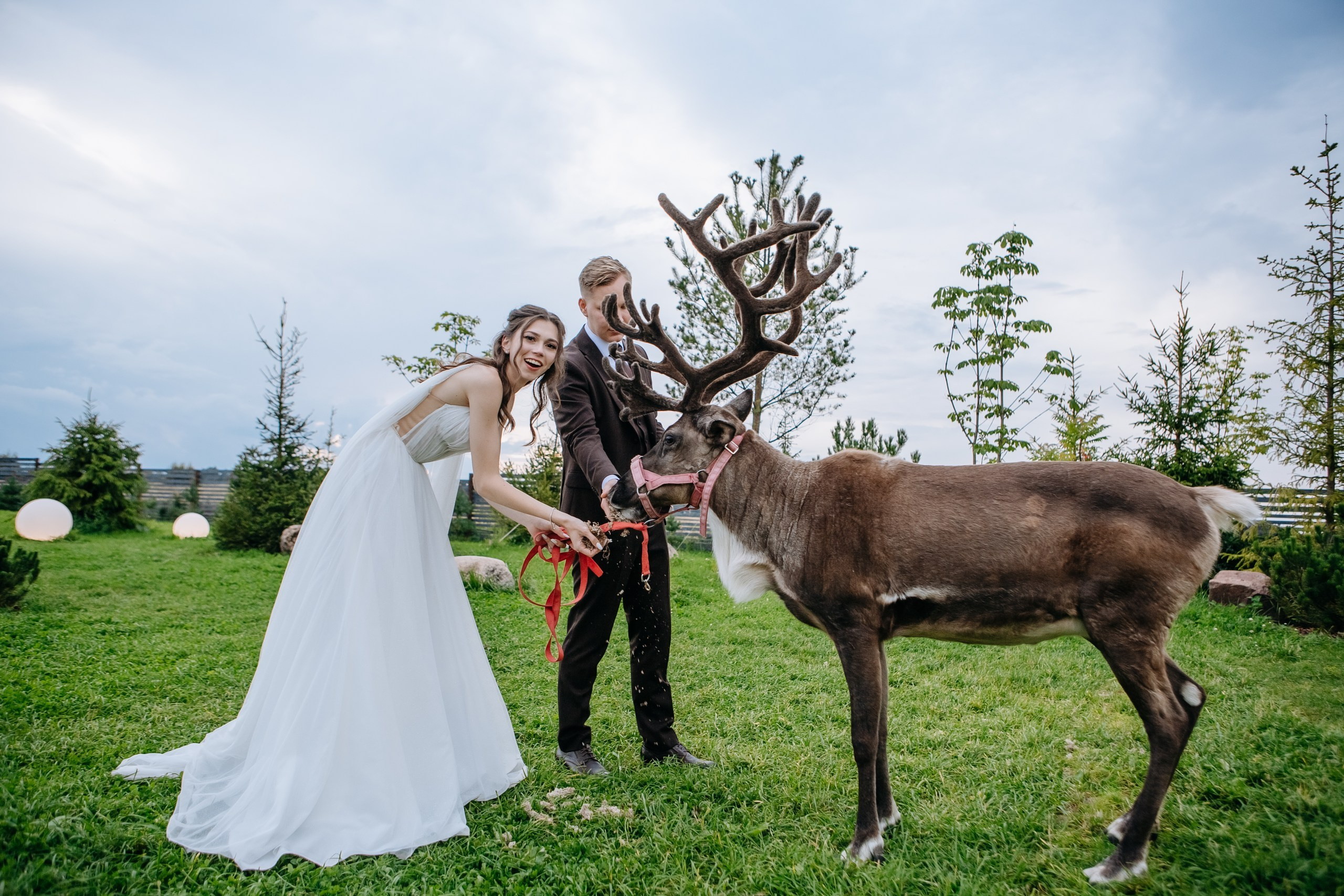 Михаил и Анастасия. Организация свадьбы — Свадебное агентство СПБ Luna Agency