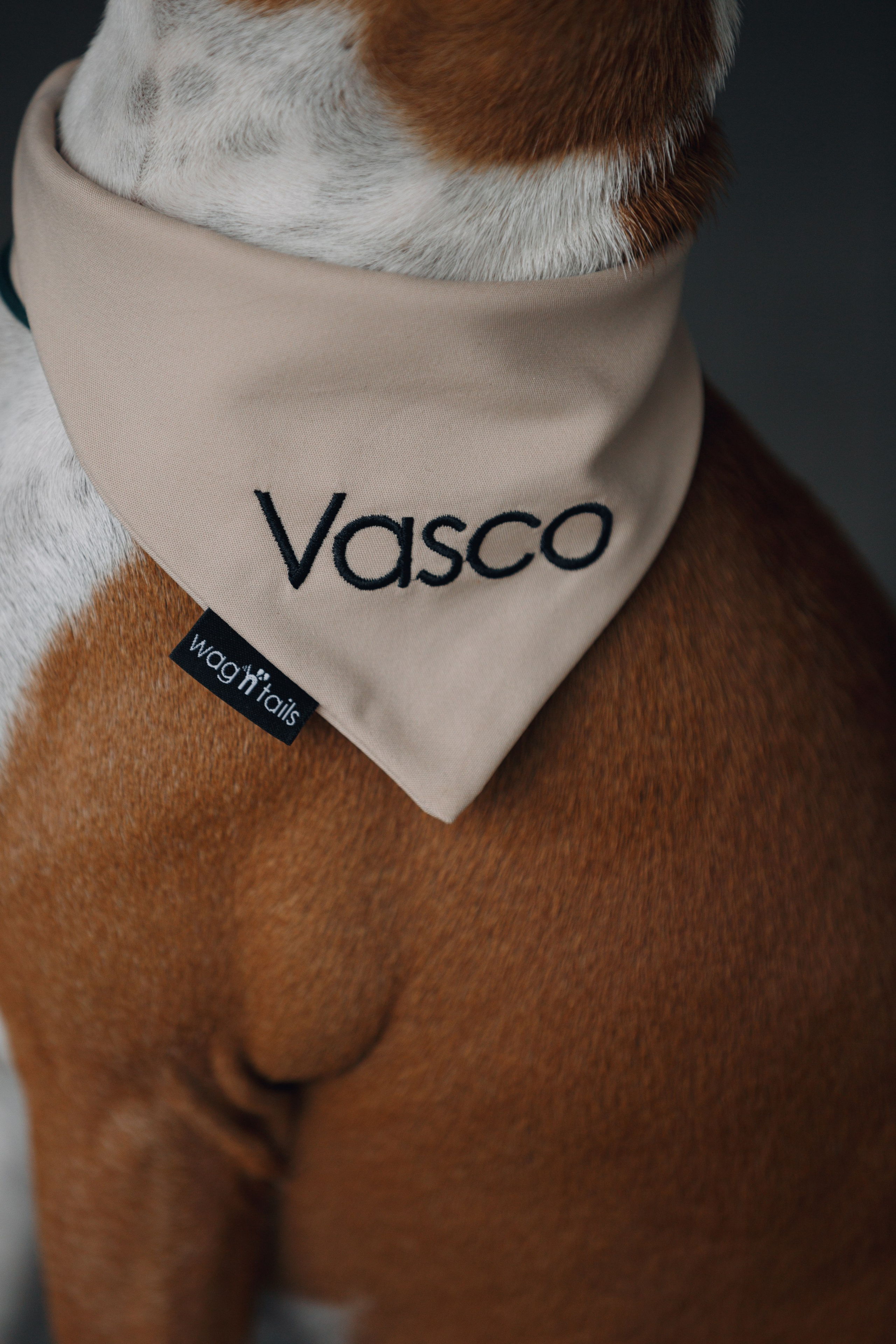 Wag'n'tails аксессуары для животных. Фотограф анималист Кристина Карпова, Москва