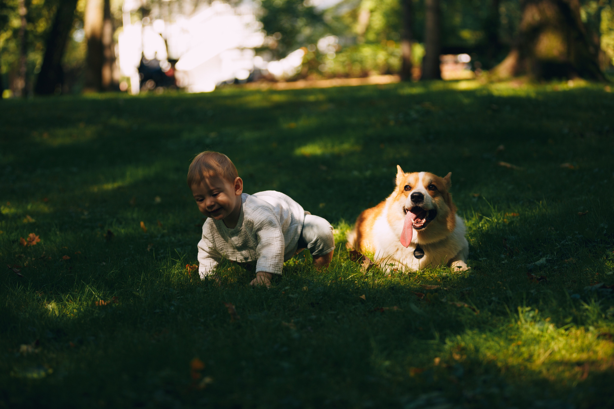 Мерф, Саша, Арсений и Андрей. Фотограф анималист Кристина Карпова, Москва
