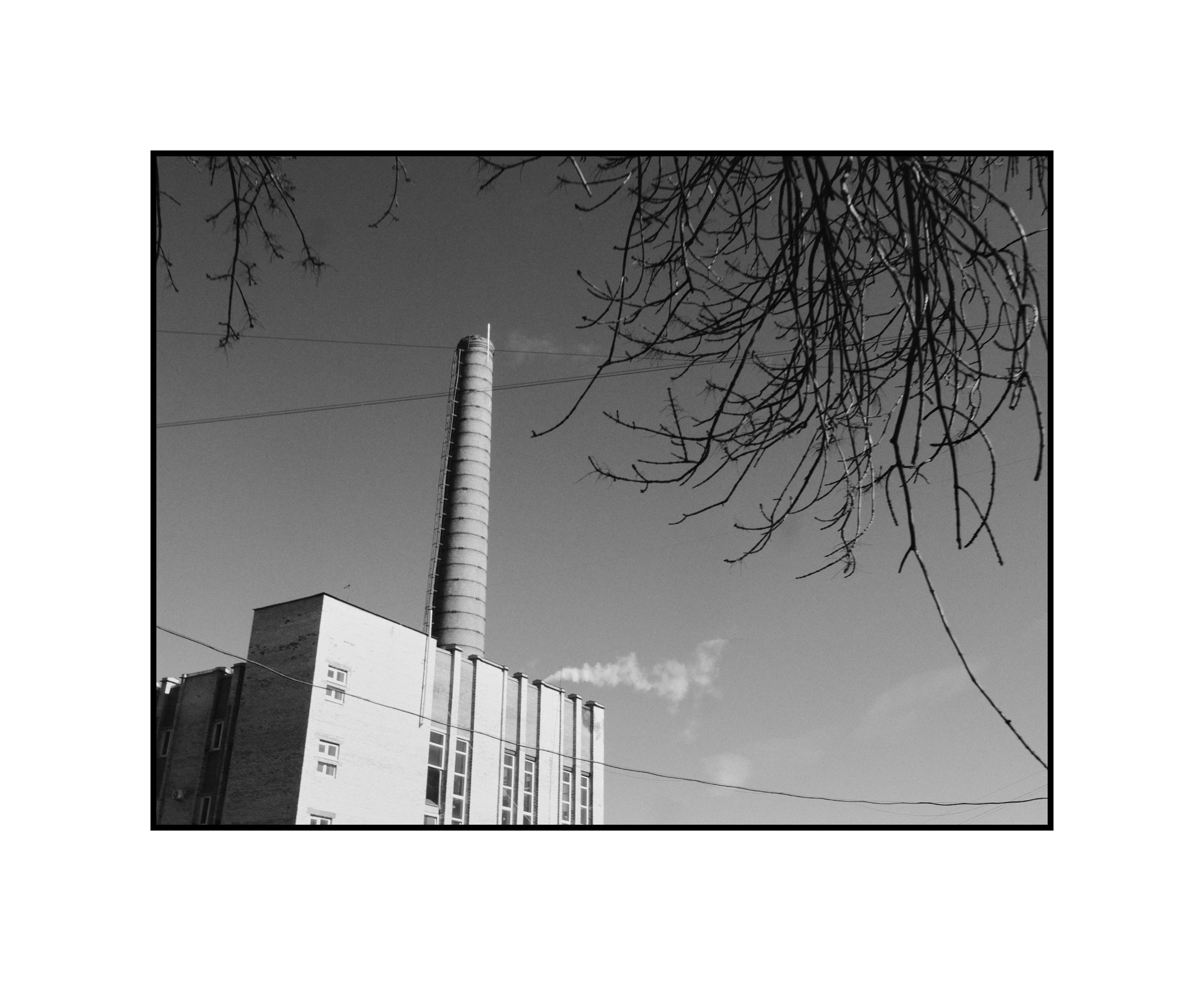 Bec. Шмитов Егор