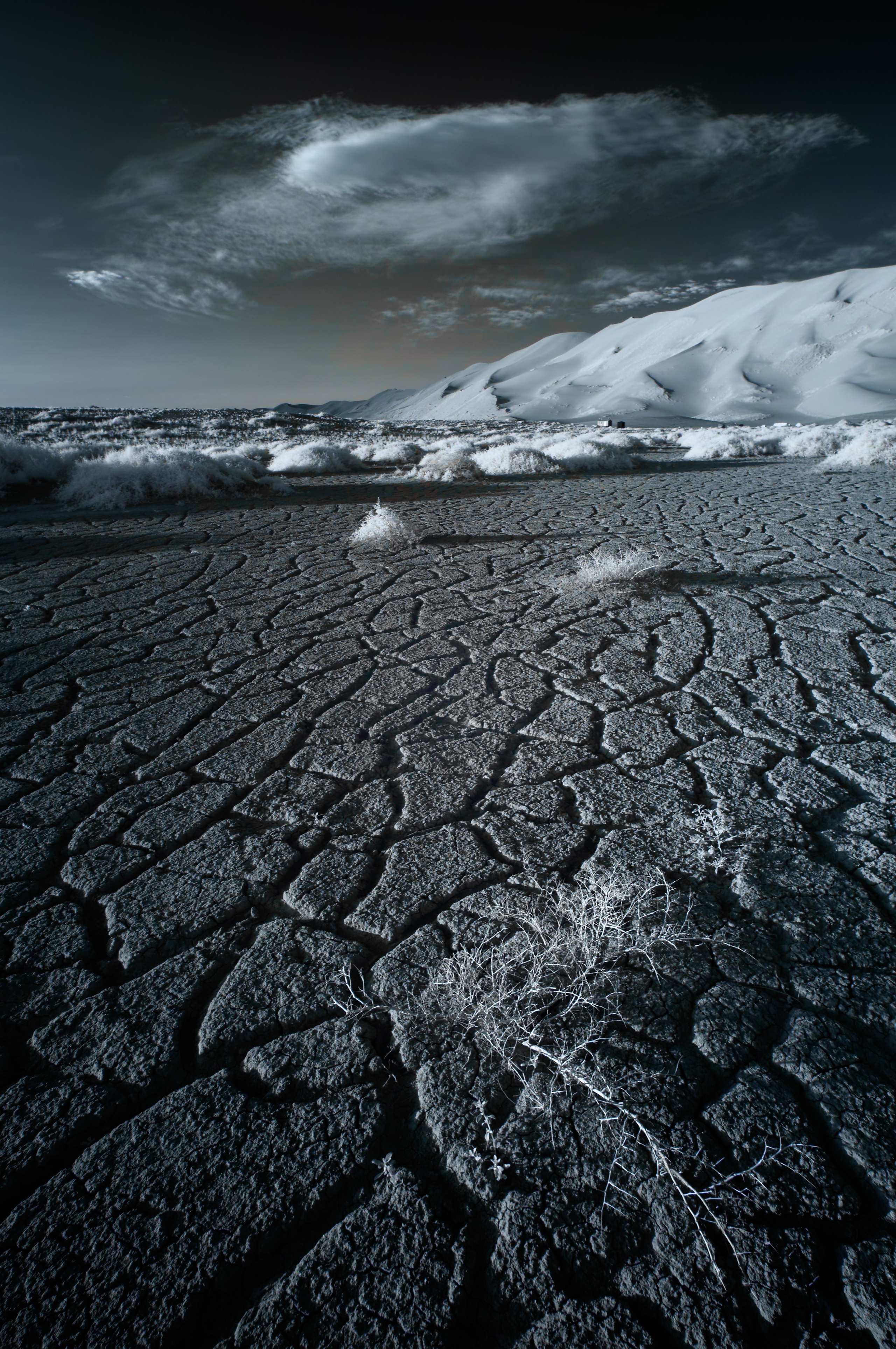 Экспедиция в Монголию (Гоби). Семоха Валерий. Фотограф
