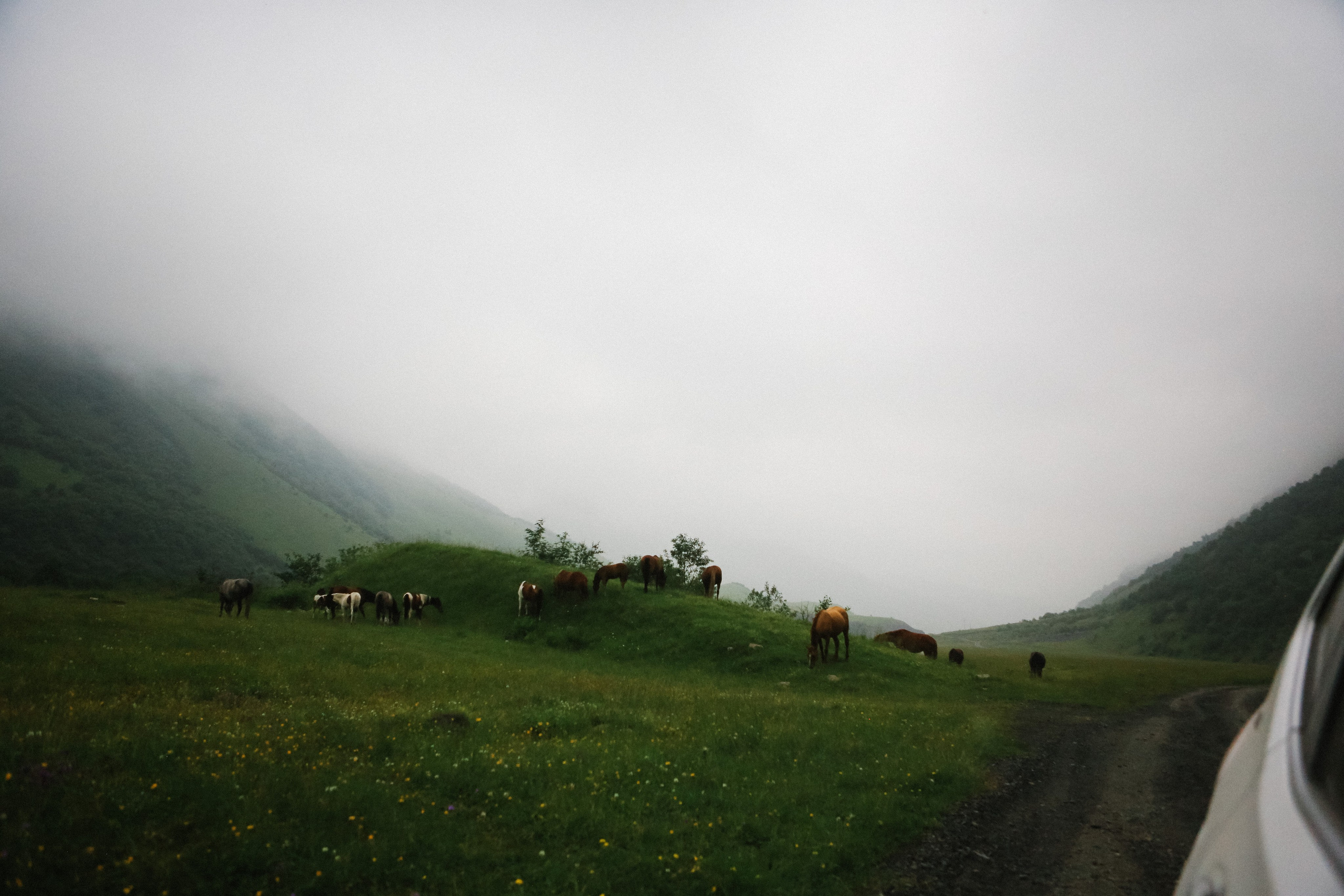 Пресс-тур для Неизвестного Кавказа. Свадебный и портретный фотограф в Пятигорске, КМВ — Власова Юля