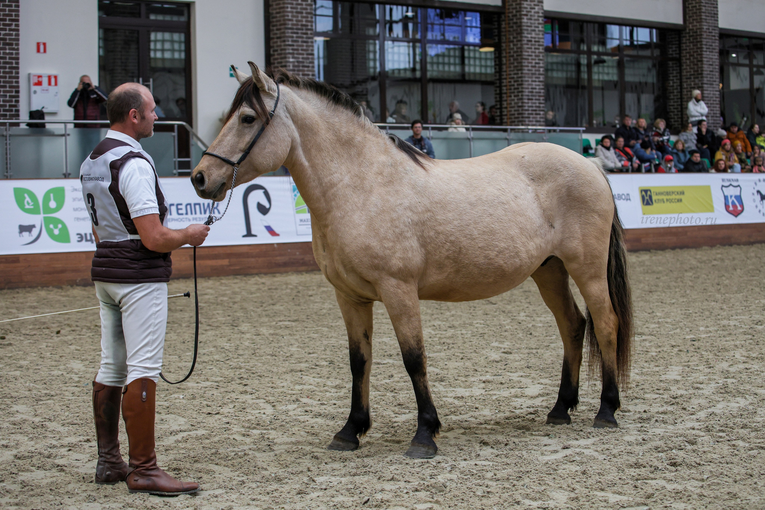 Конная Россия 2024. Irenephoto.ru
