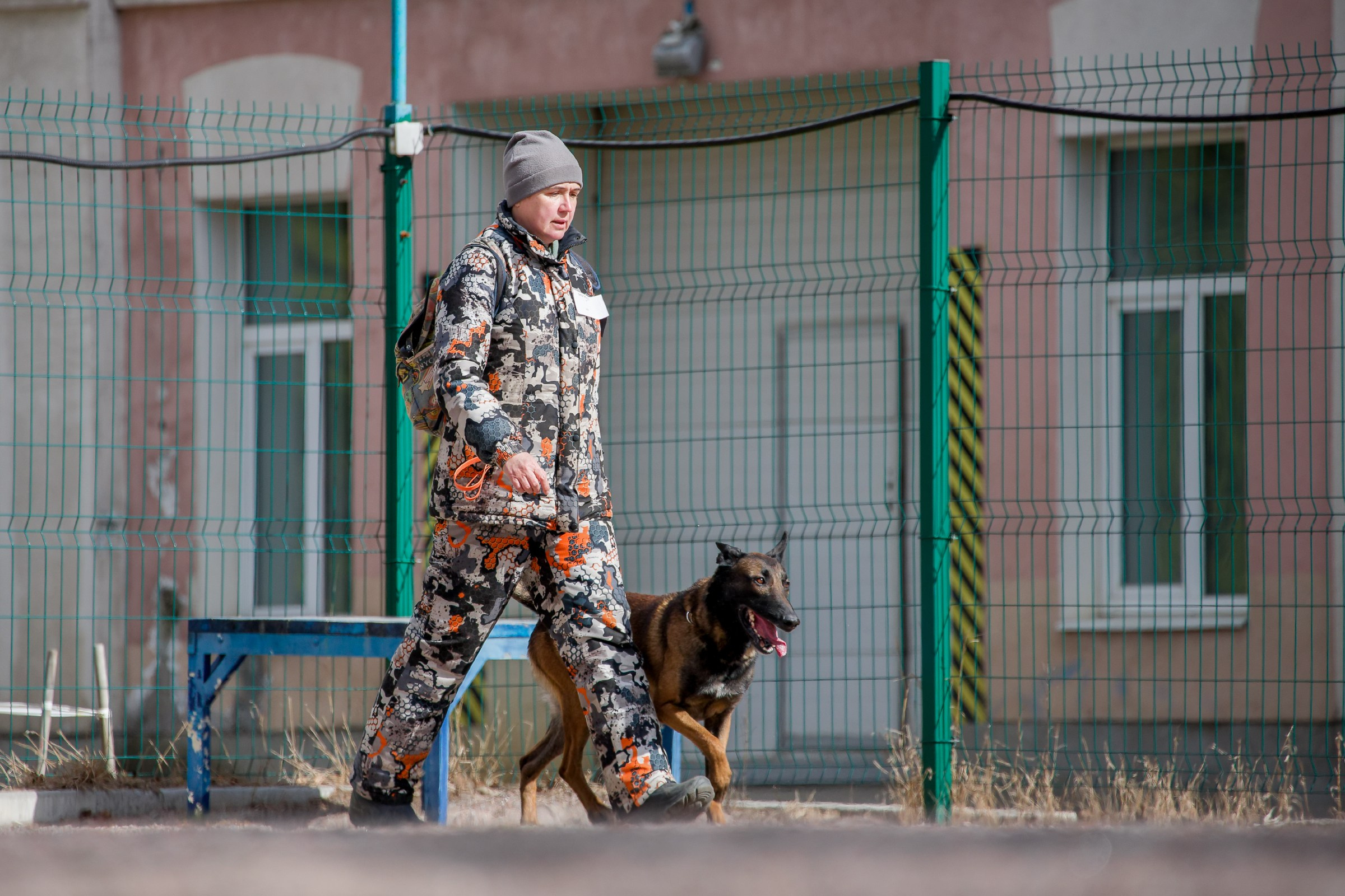 Соревнования «Пошагаем?» от школы дрессировки «Шаги». Irenephoto.ru