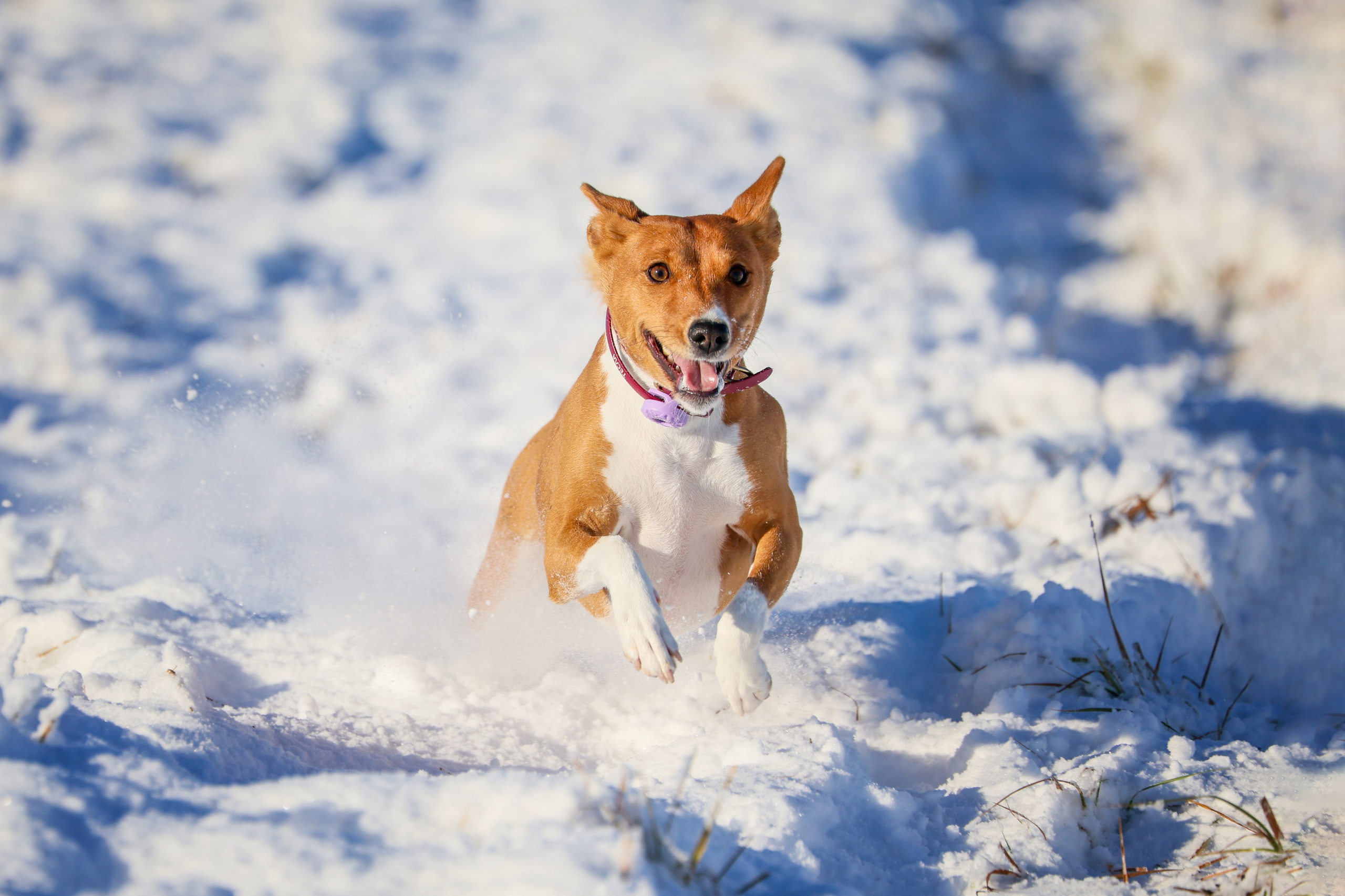 Lure Club 2025. Irenephoto.ru