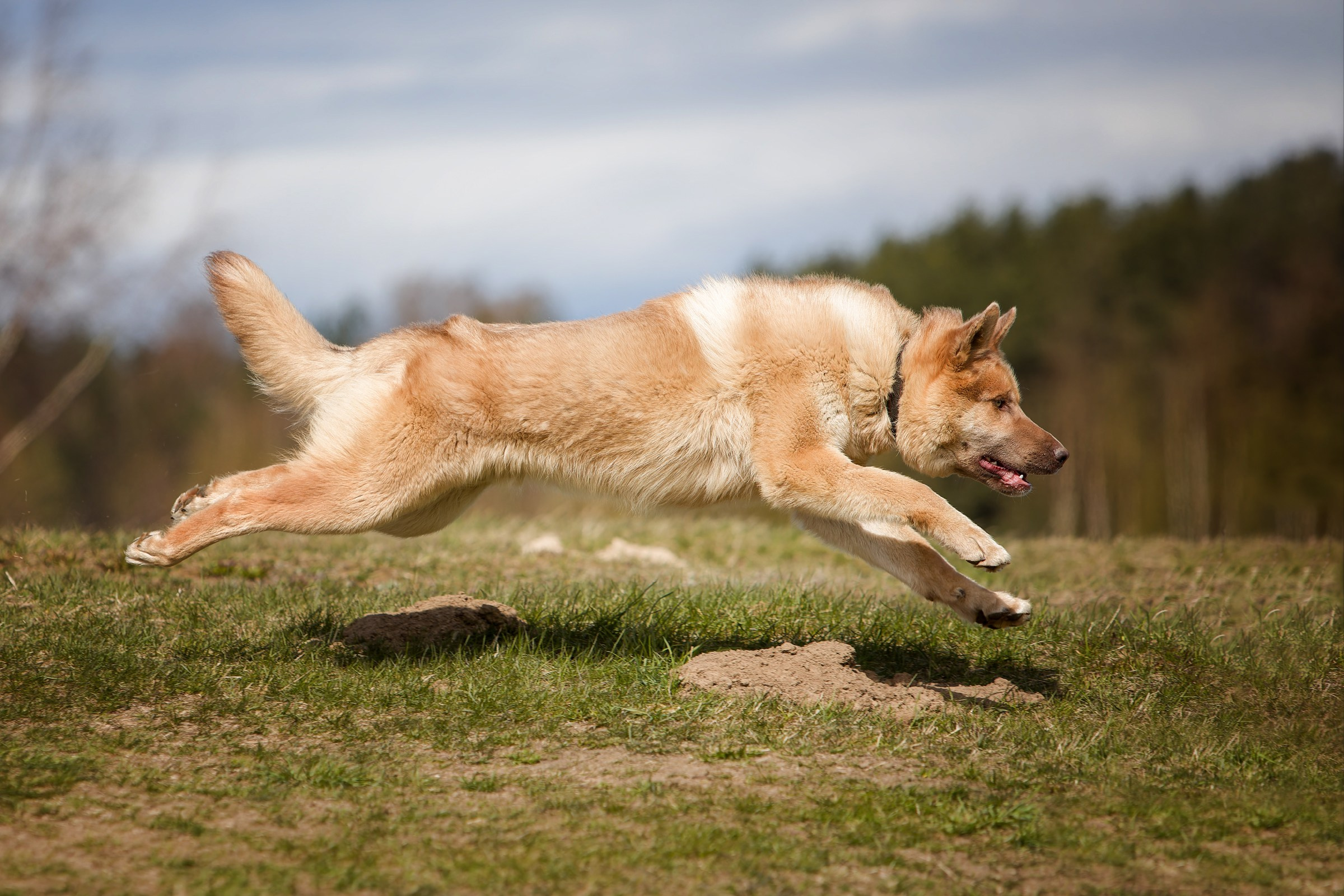 Lure Club 2025. Irenephoto.ru