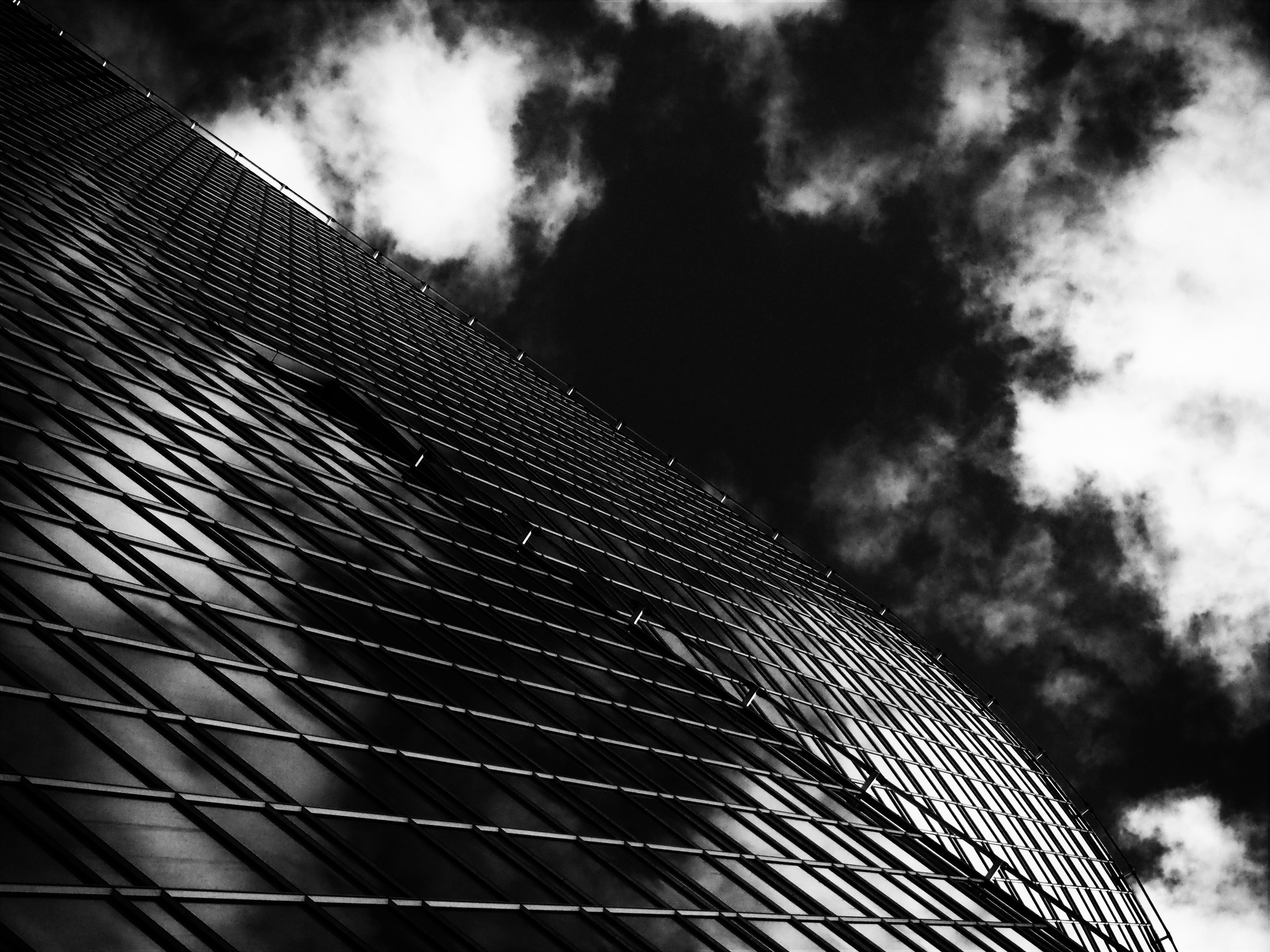 Галерея. Фотограф Глеб Грибенник