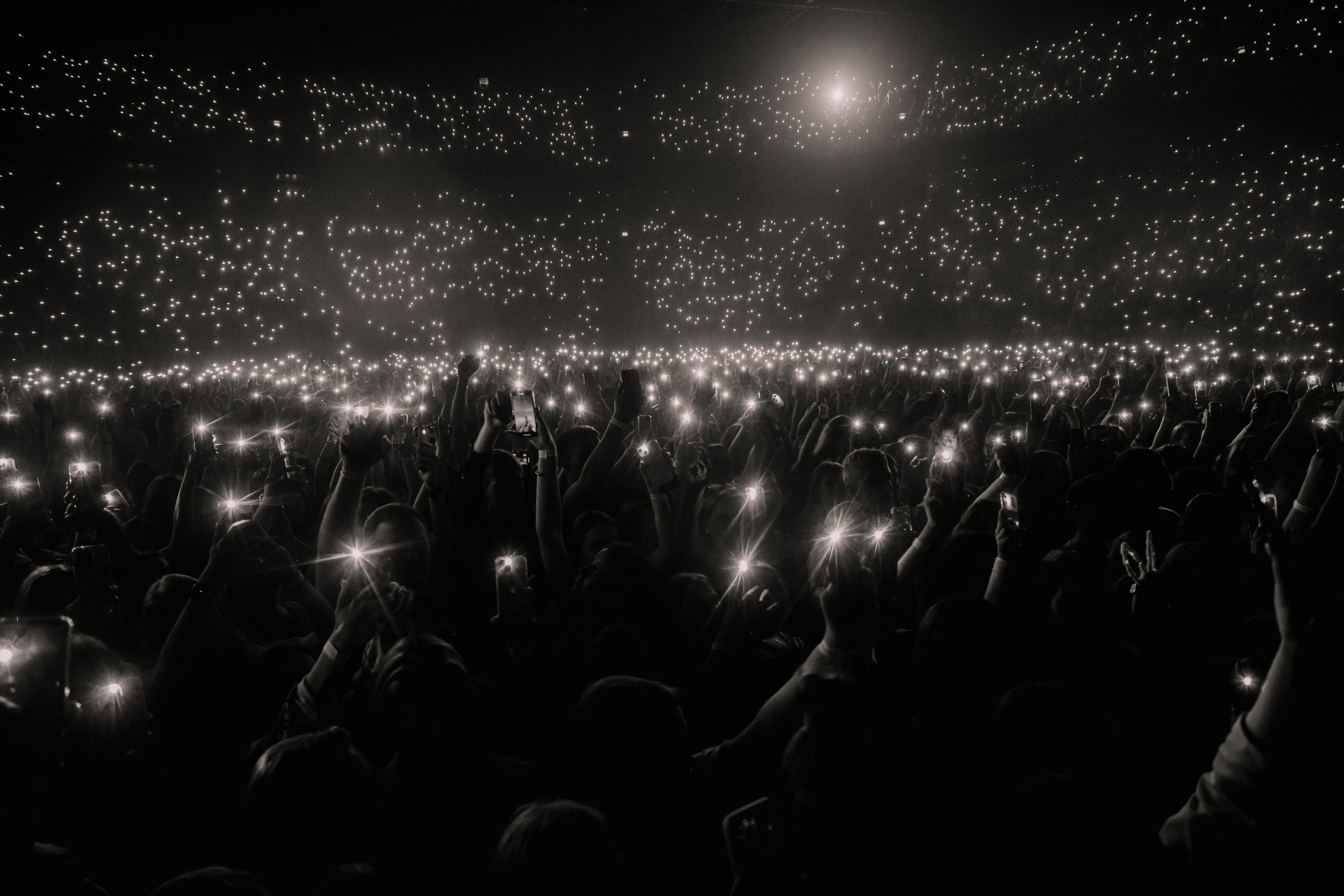 Концерты. Фотограф в Москве и Санкт-Петербурге Дарина