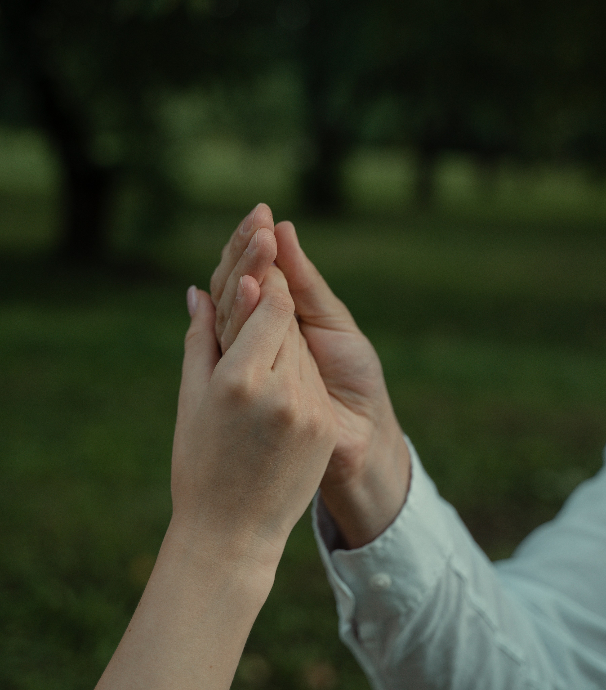 Романтический пикник