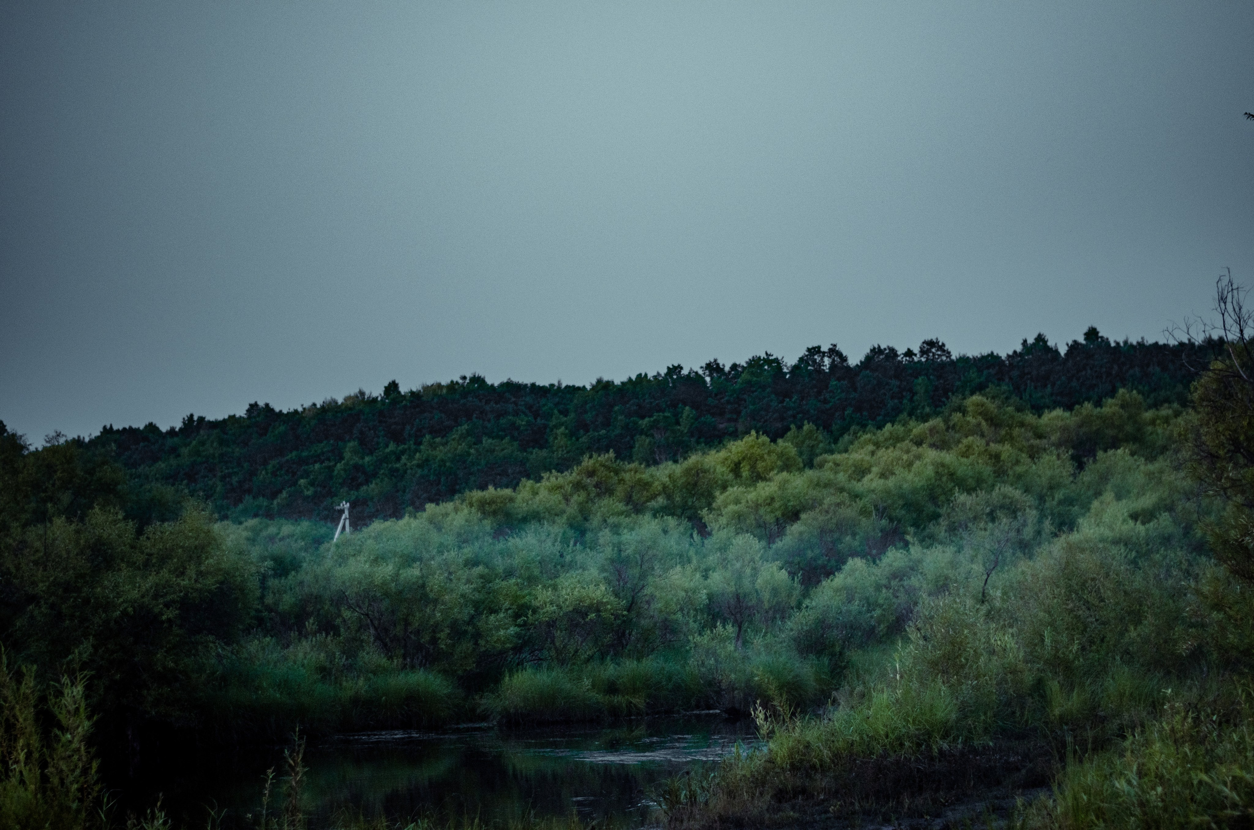 Romvaya. Фотограф | Евгений Панченко — Москва