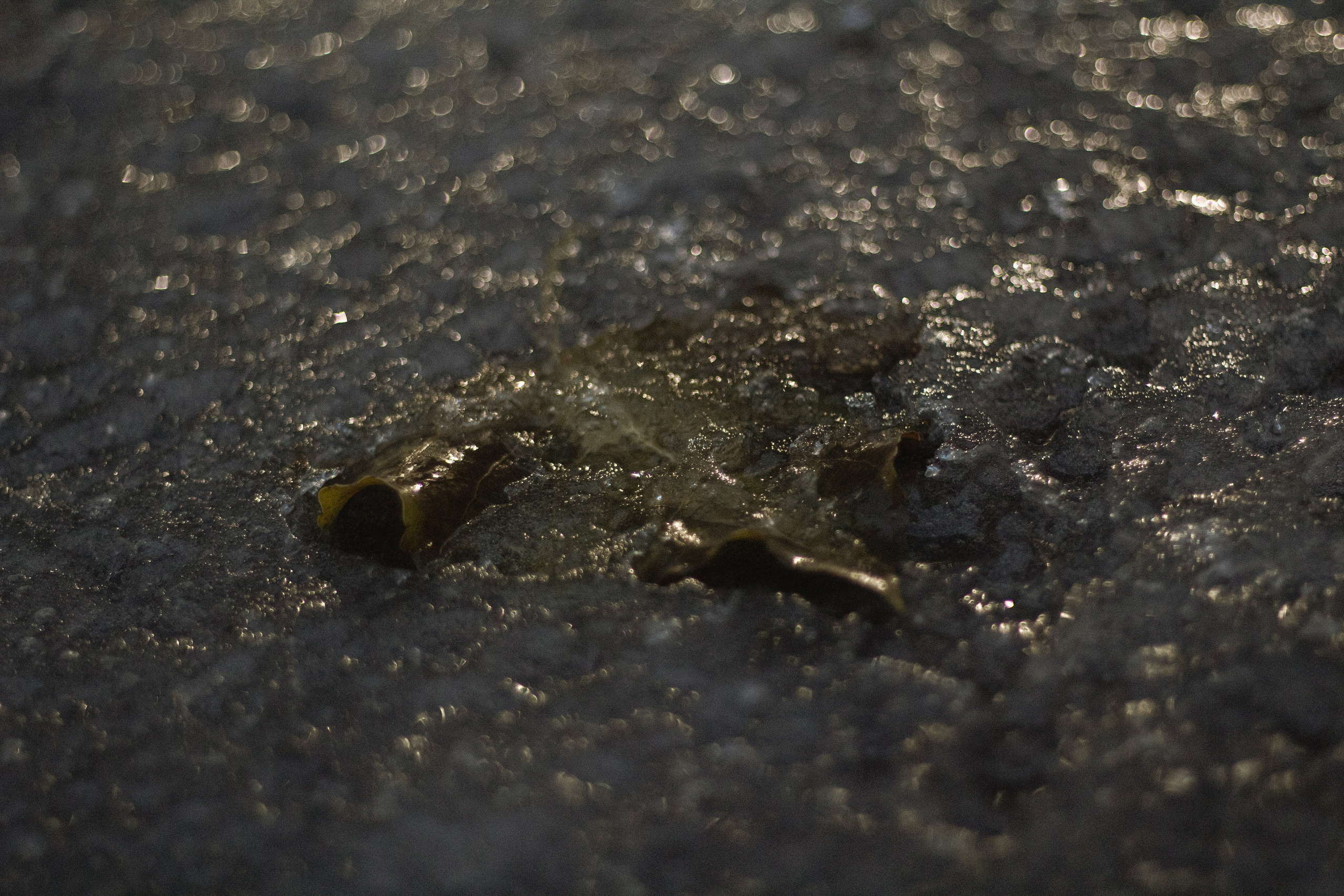 Осень-зима. Фотограф Москва, портрет, стрит, репортаж. Художественная фотосессия