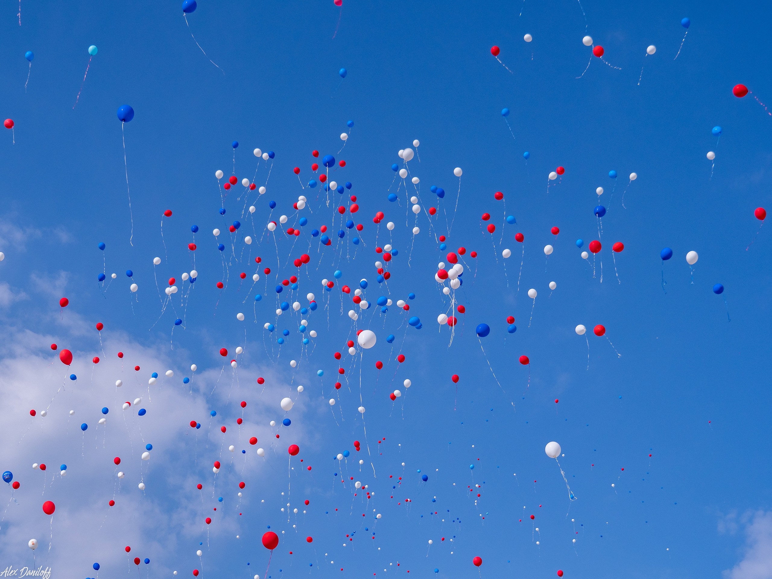 Первоклассный день 25. Муром-Инфо. Новости культуры, образования, спорта в городе Муром