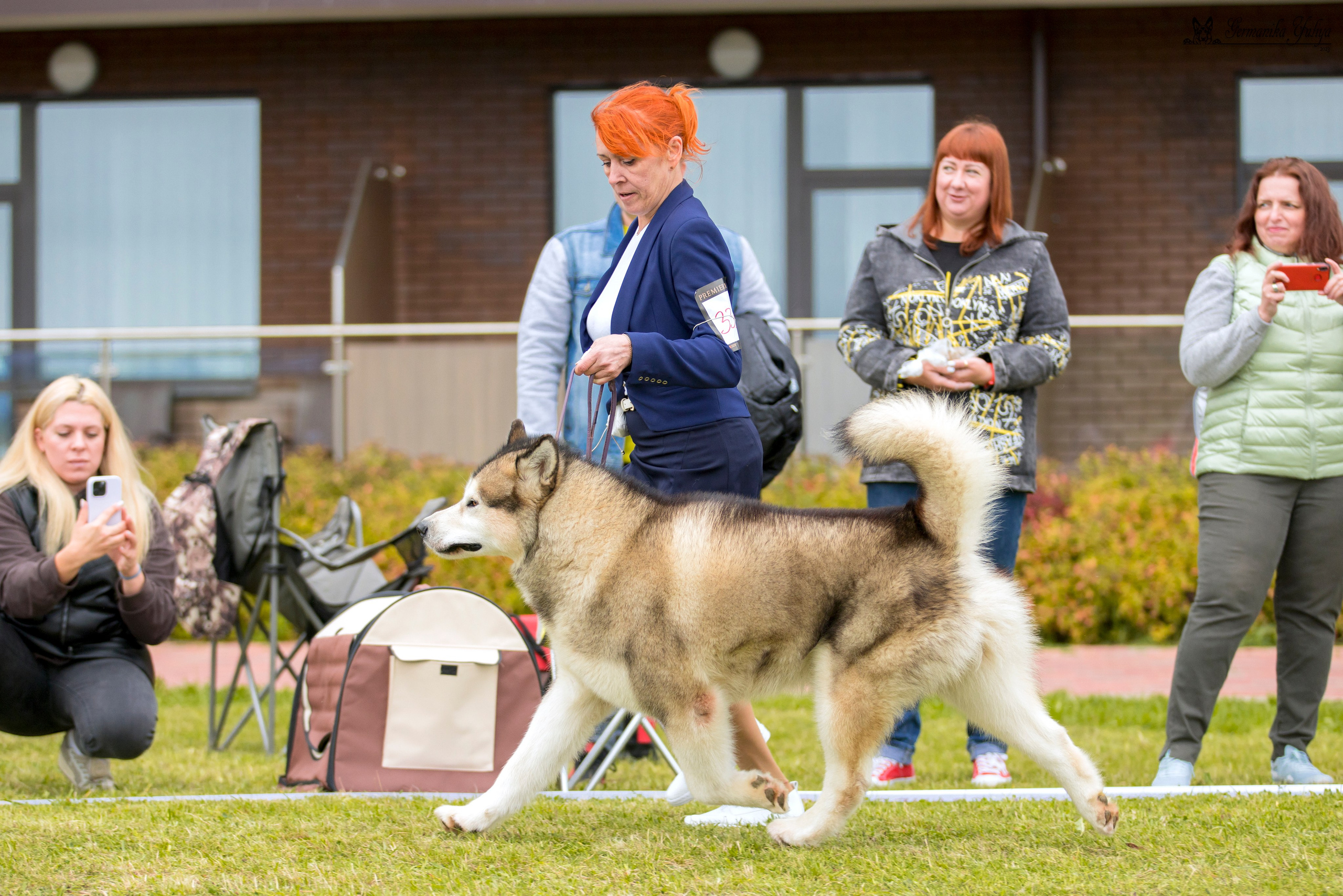 Переславль 9-10.09.2023. Фотограф-анималист Юлия Германика