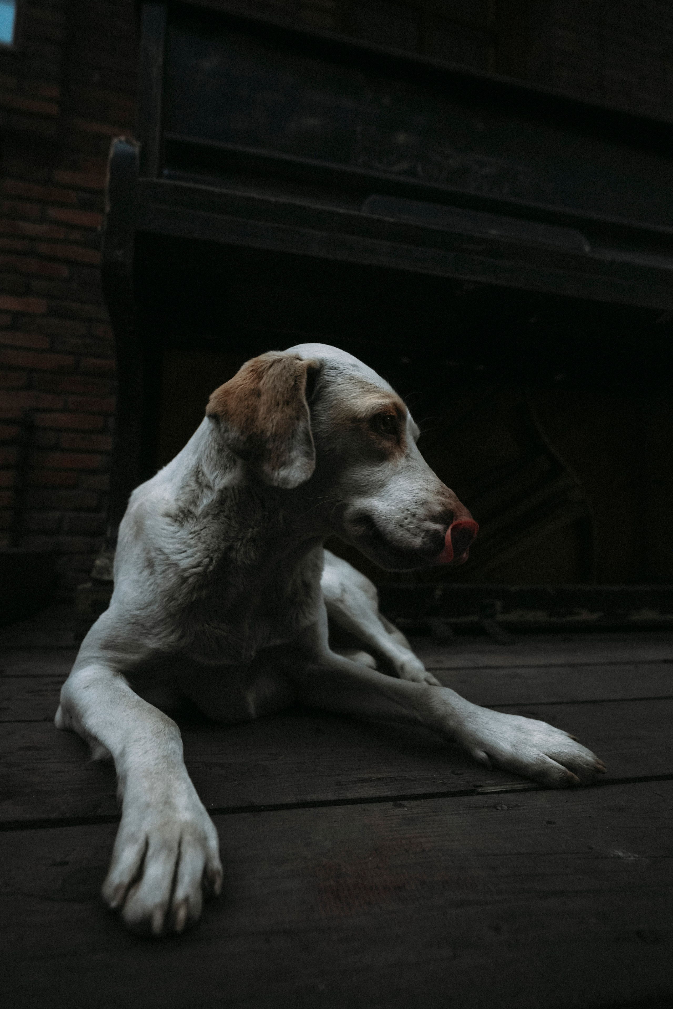 ТБИЛИСИ 2023-2024. Стрит-фотография, полная абсурда, идиотизма и красоты