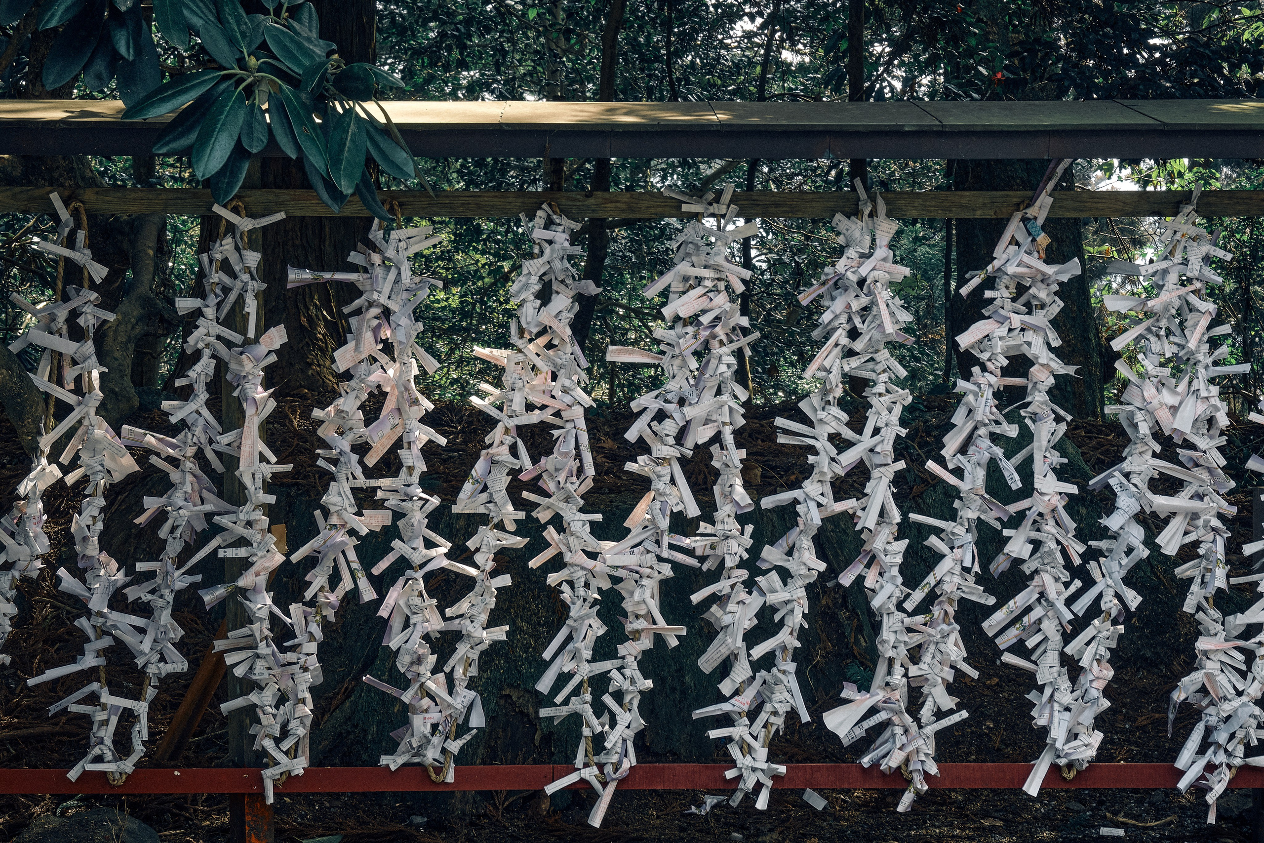 Japan / Osaka≫Kyoto≫Tokyo. Aleksandr Kobtsev