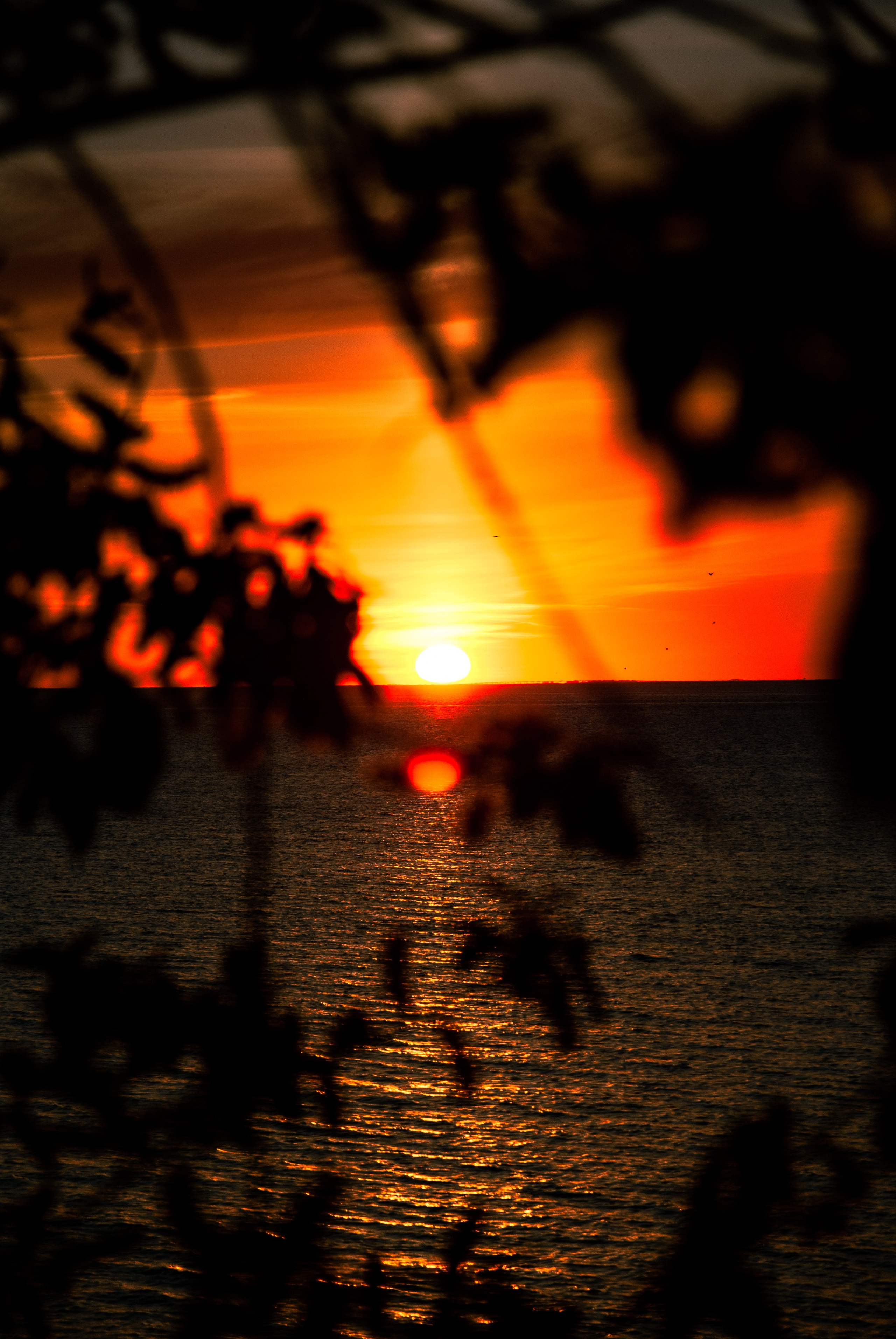 Закат/Залив. Портретный фотограф DanilNabody