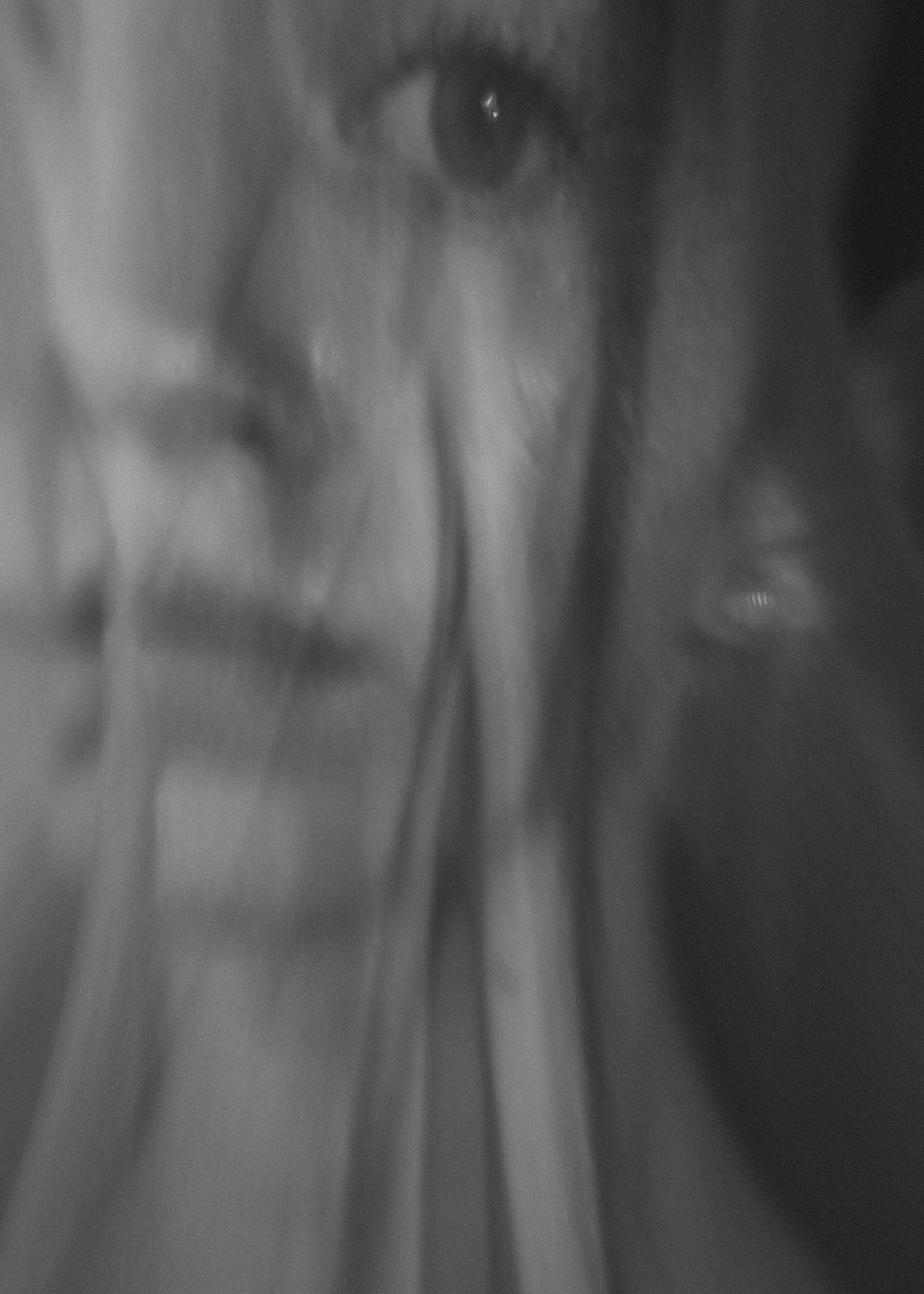 RED. Портретный фотограф DanilNabody