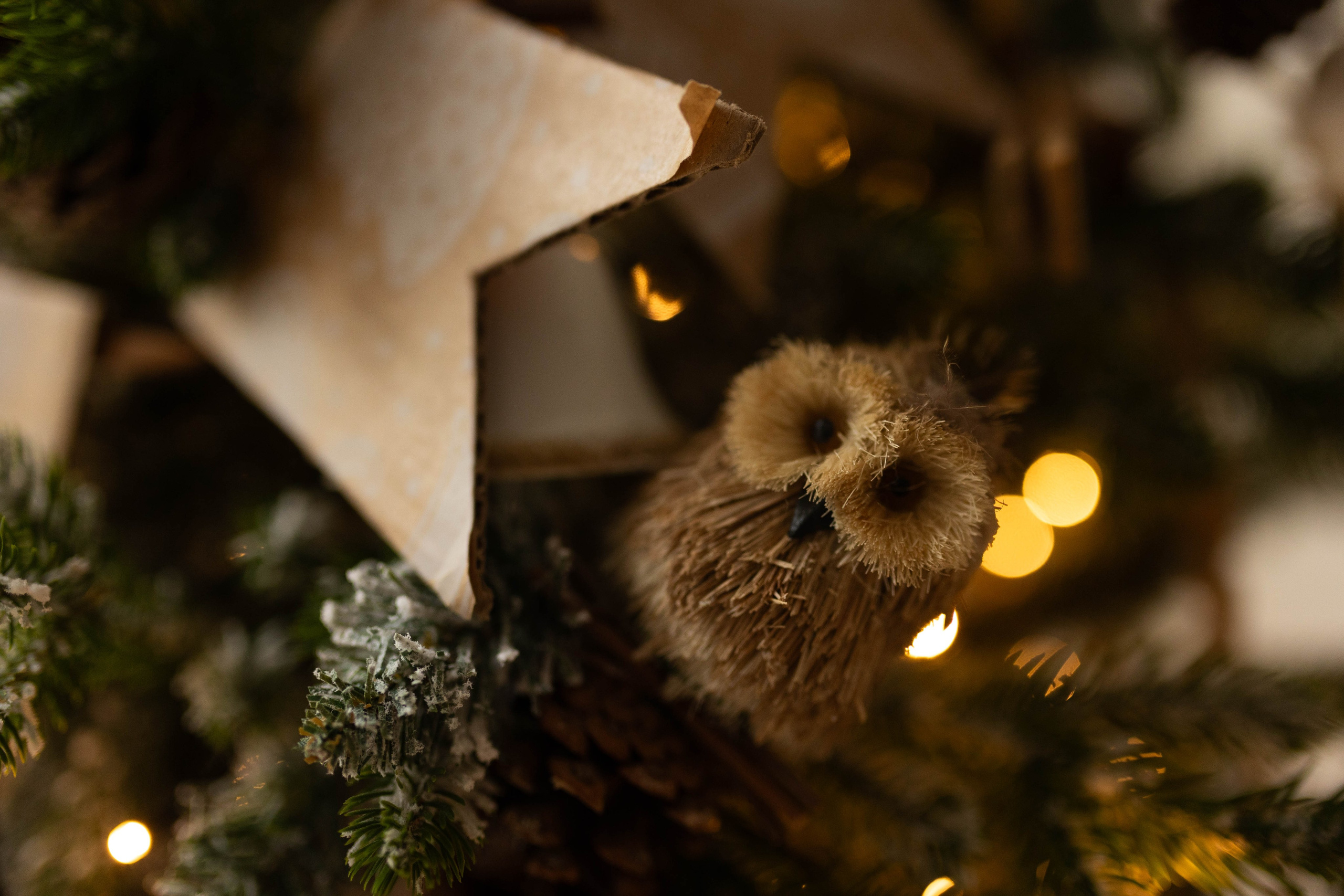 Свадебный и семейный фотограф в Москве Вероника Сычева