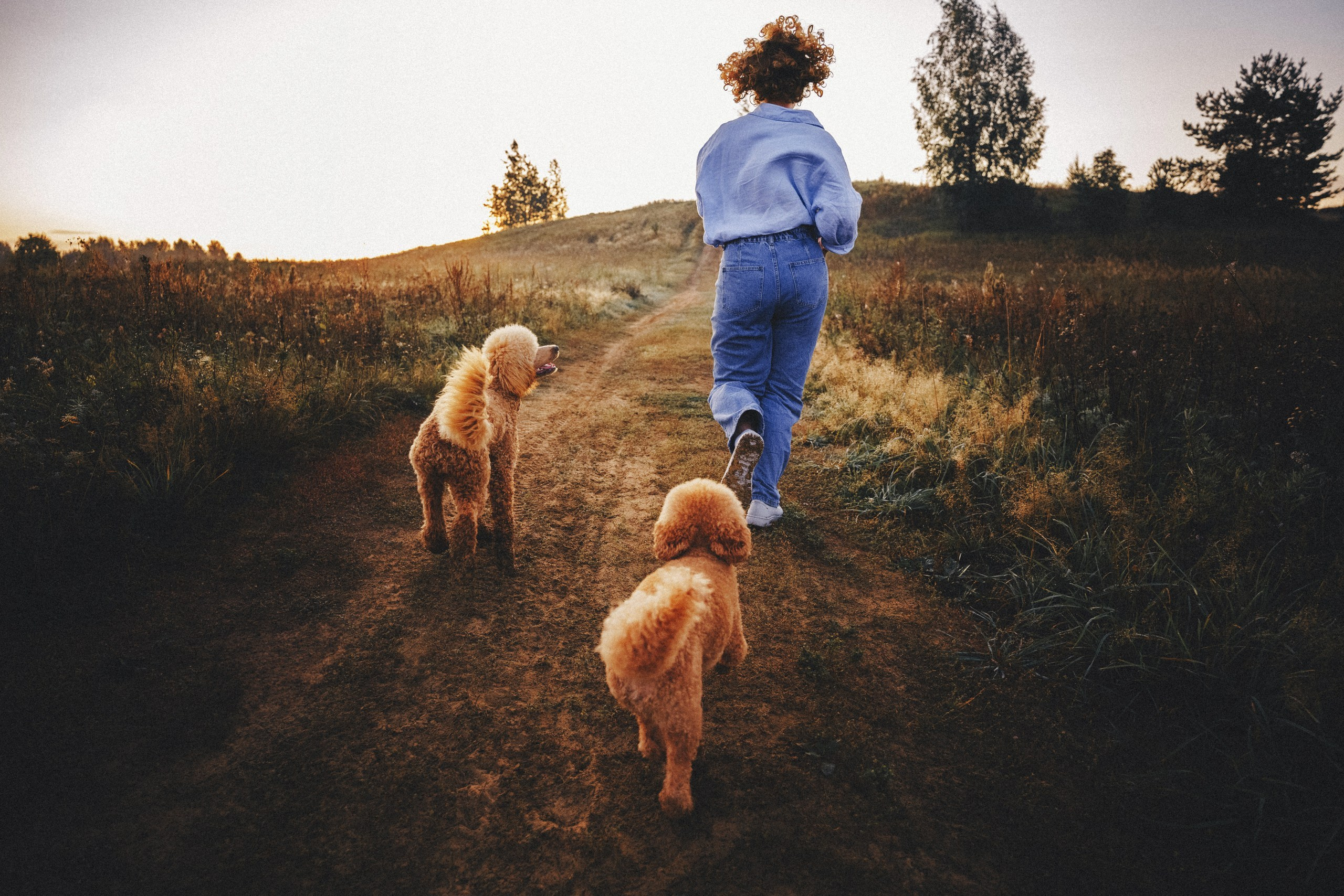 Юля, Кир и Цера. Фотограф анималист Осипчикова Мария