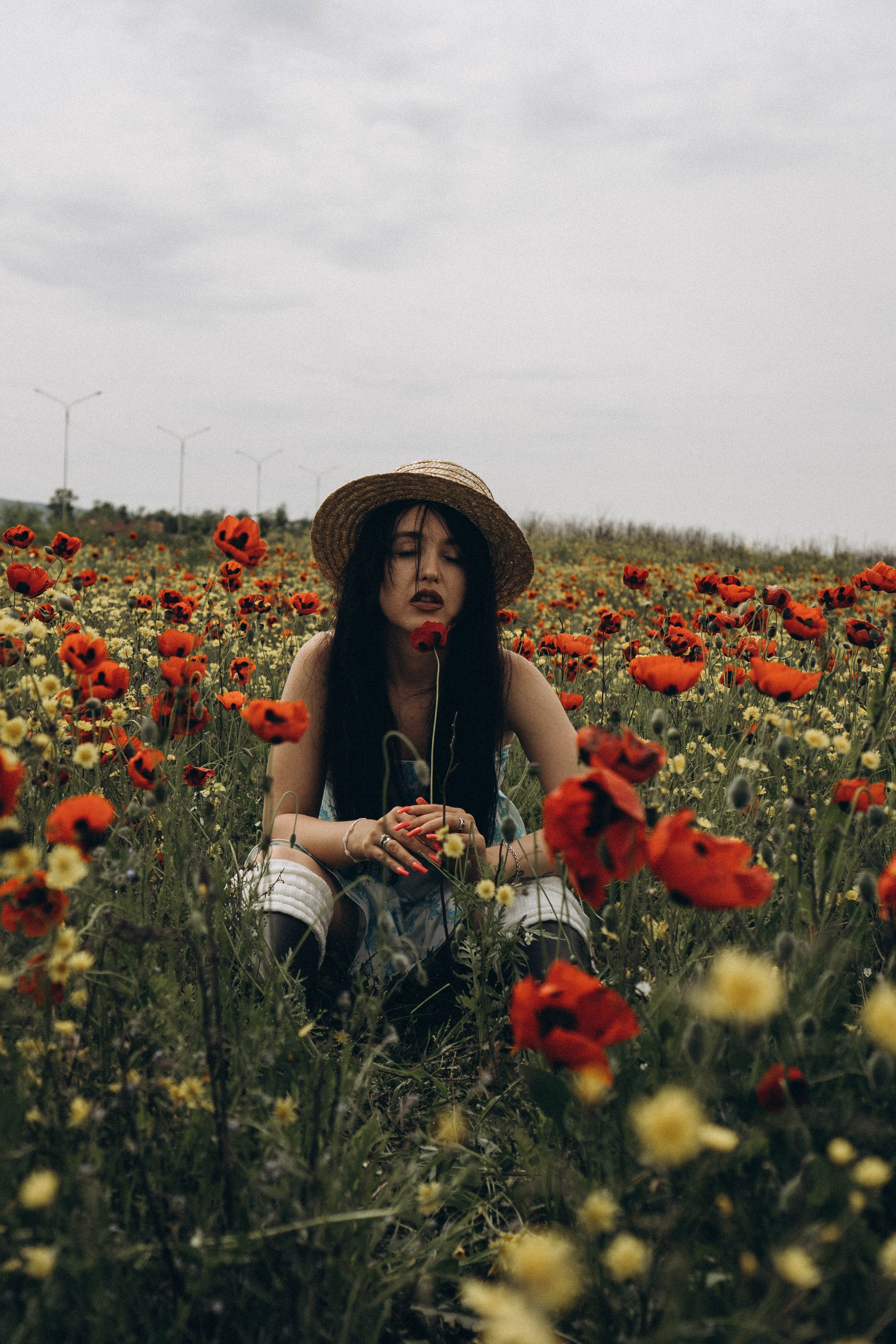 Цветочная поляна. Профессиональный фотограф, Санкт-Петербург — Виктория Богомолова