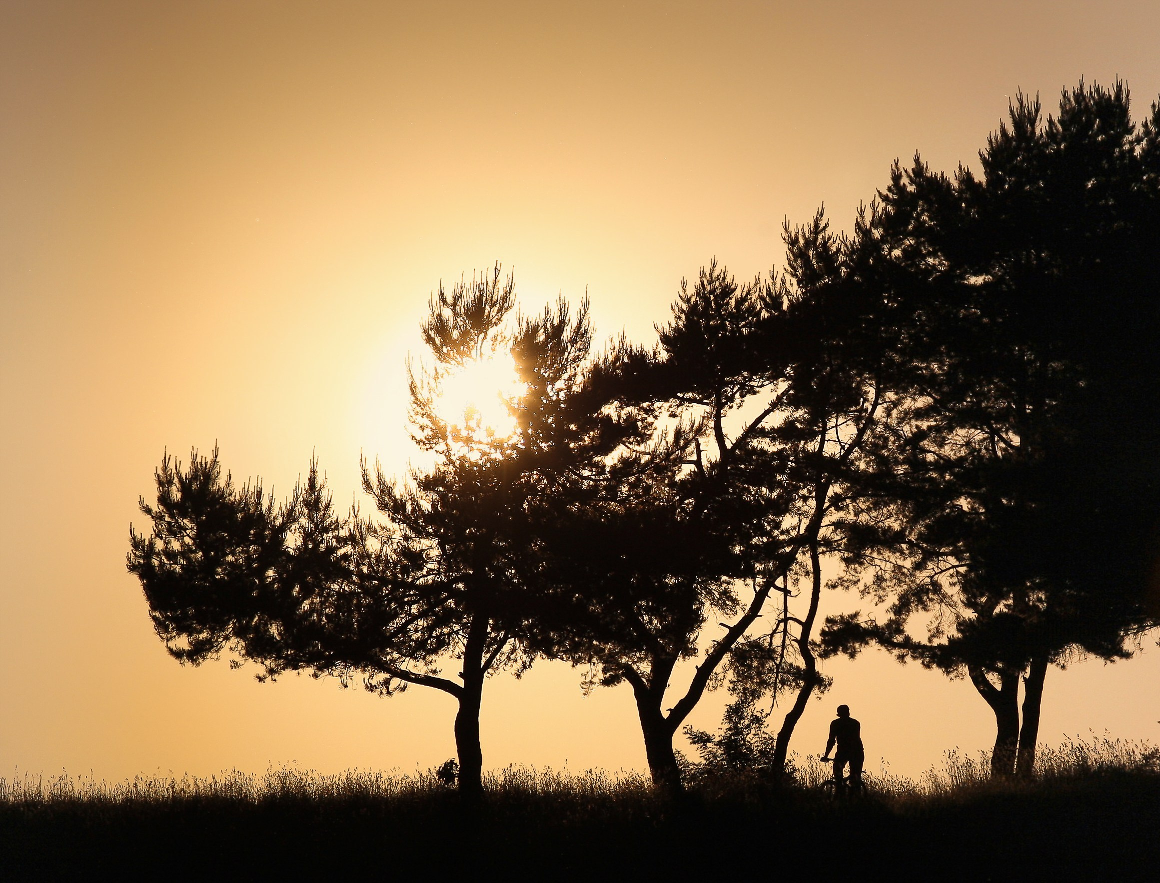ФОТОЖУРНАЛИСТИКА. Репортажный фотограф в Минске. Алексей Матюшков
