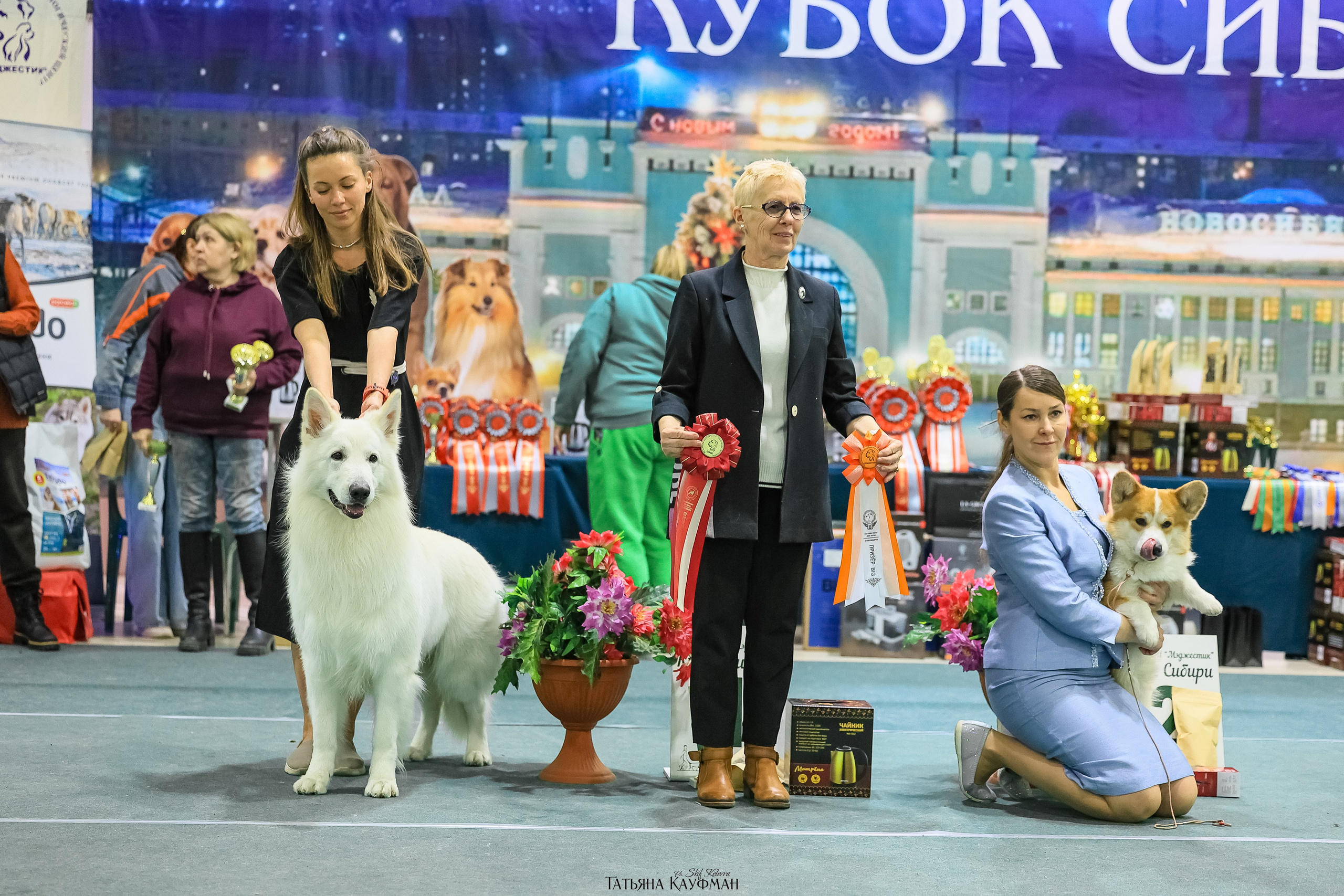 6-7.12.25 — 1-4 Национальные выставки собак в Новосибирске (2х рейтинговые). Фотограф Анималист из Новосибирска Татьяна Кауфман