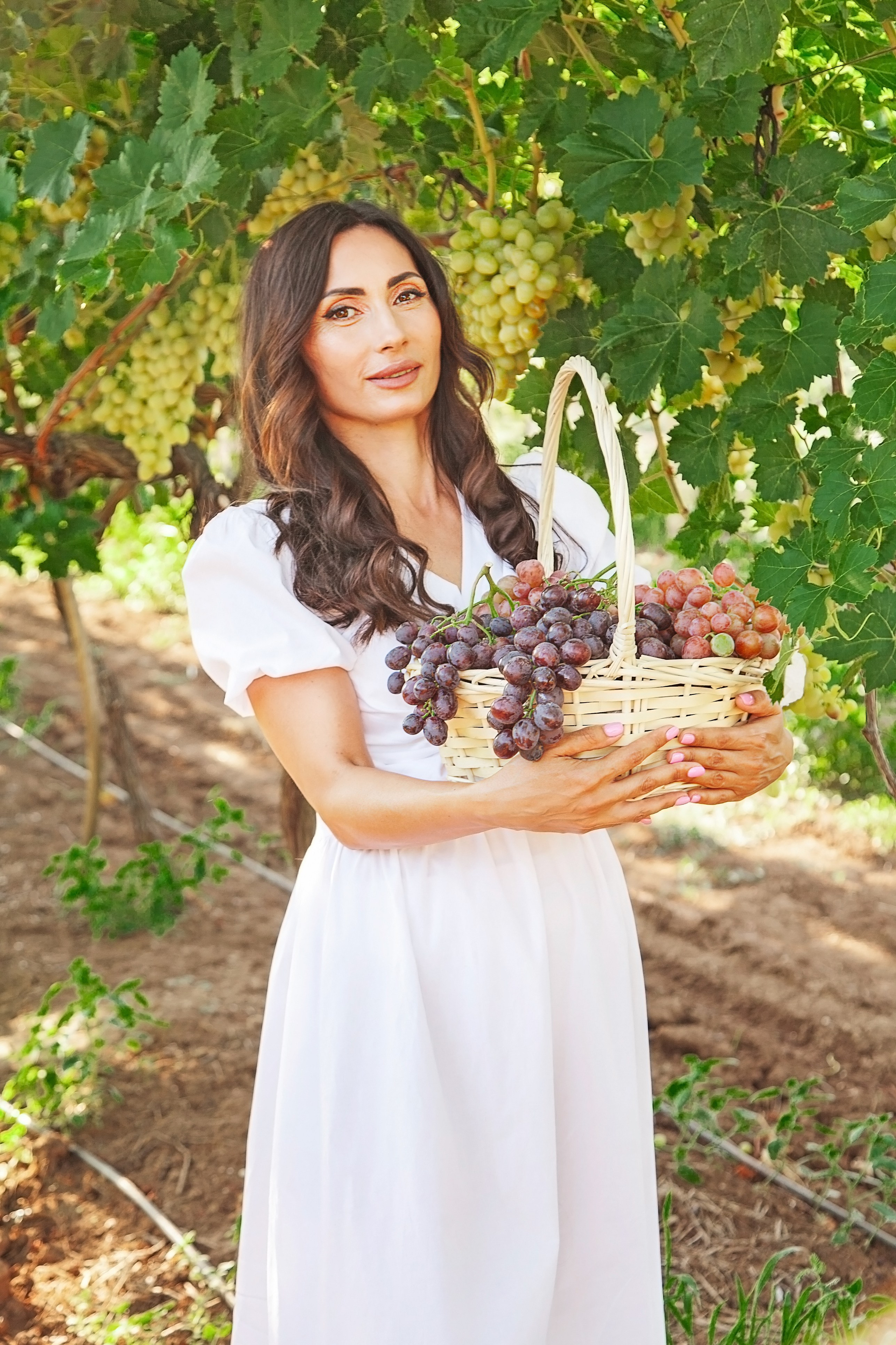 ВИНОГРАДНИКИ. Фотограф в Крыму