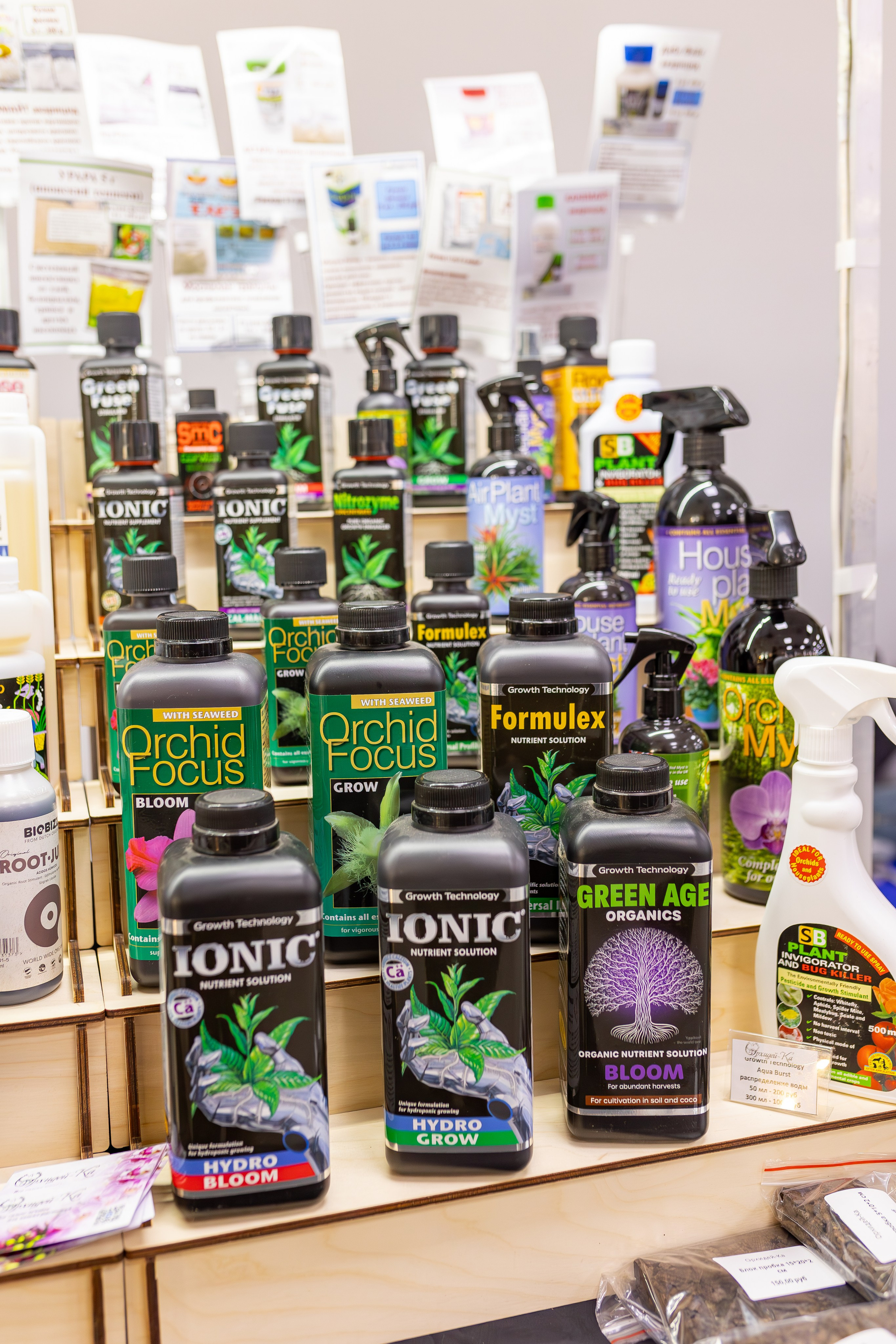 Орхидиум сентябрь 2025. Александра Куликова фотограф, Москва