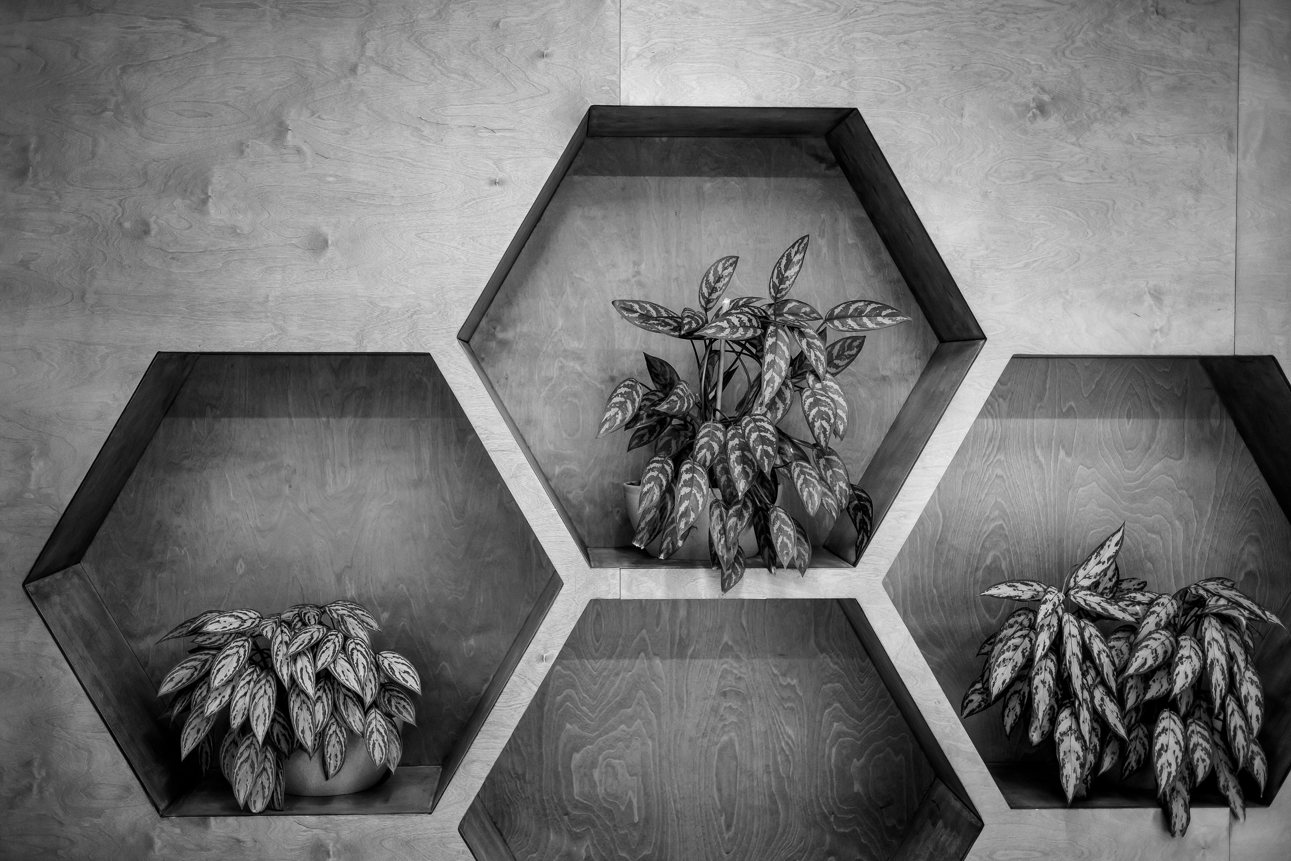 Медклиника широкого профиля. Фотограф в Москве Базанова Дарья